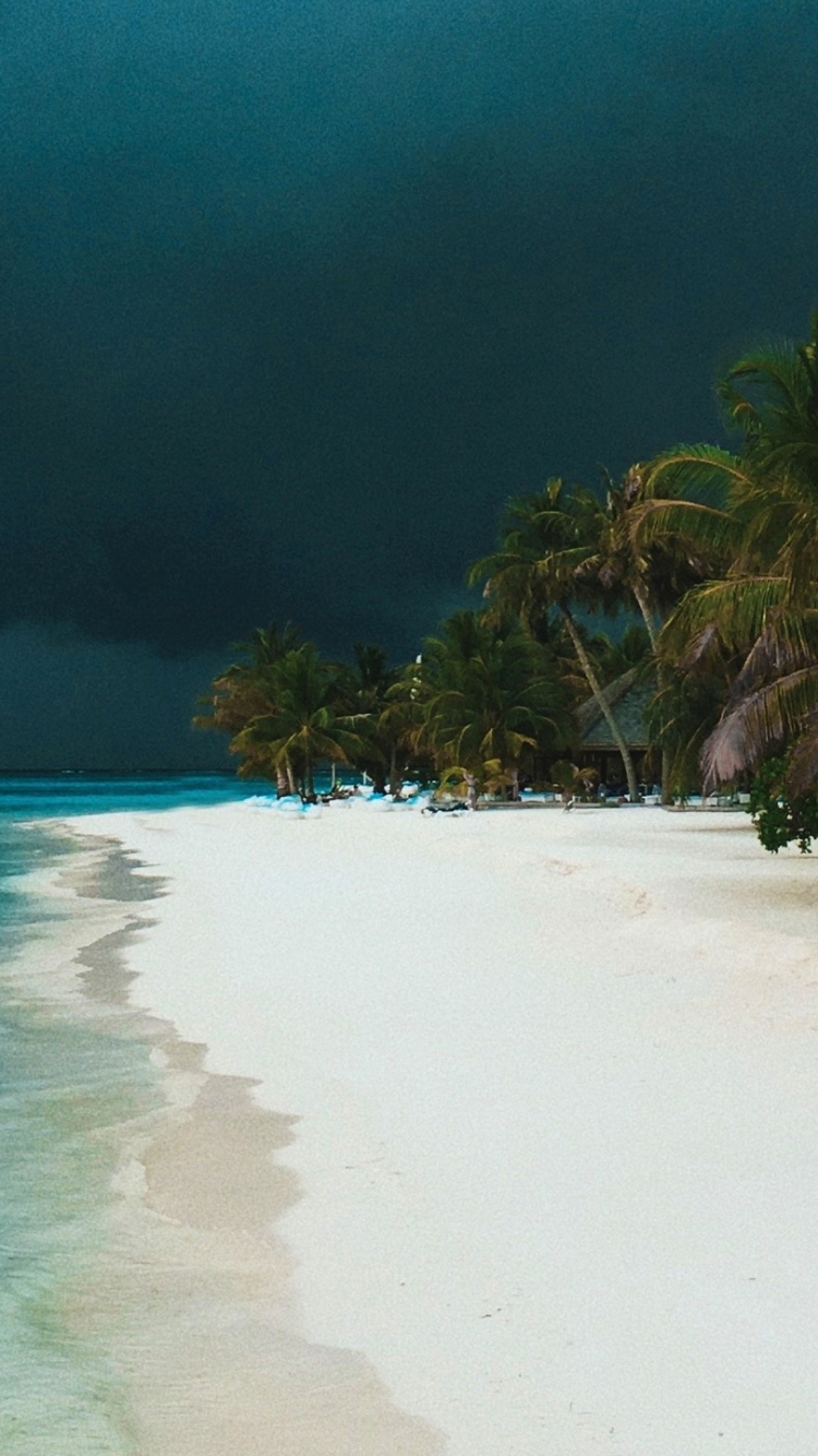 Descarga gratuita de fondo de pantalla para móvil de Playa, Tierra, Tropical, Fotografía, Palmera, Tropico.