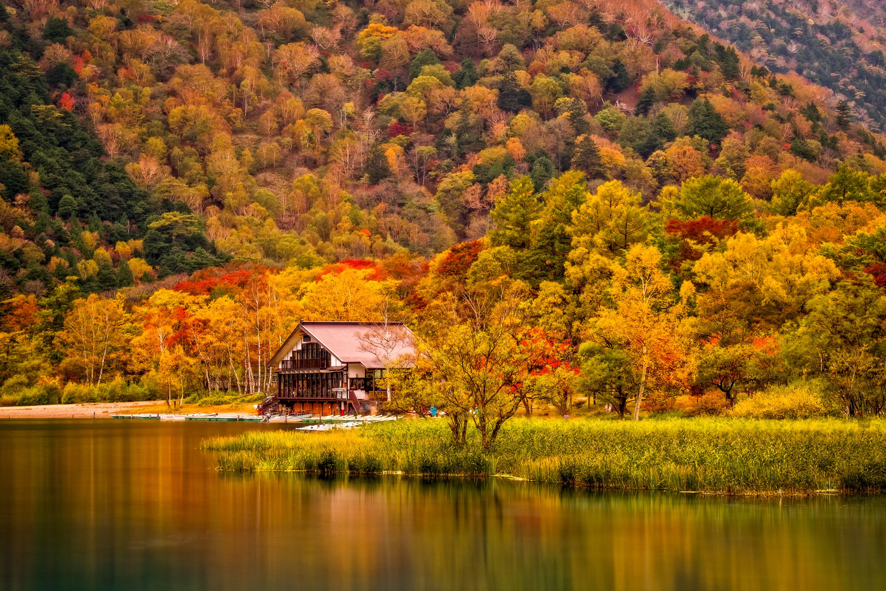 Скачать картинку Осень, Лес, Дом, Сделано Человеком в телефон бесплатно.