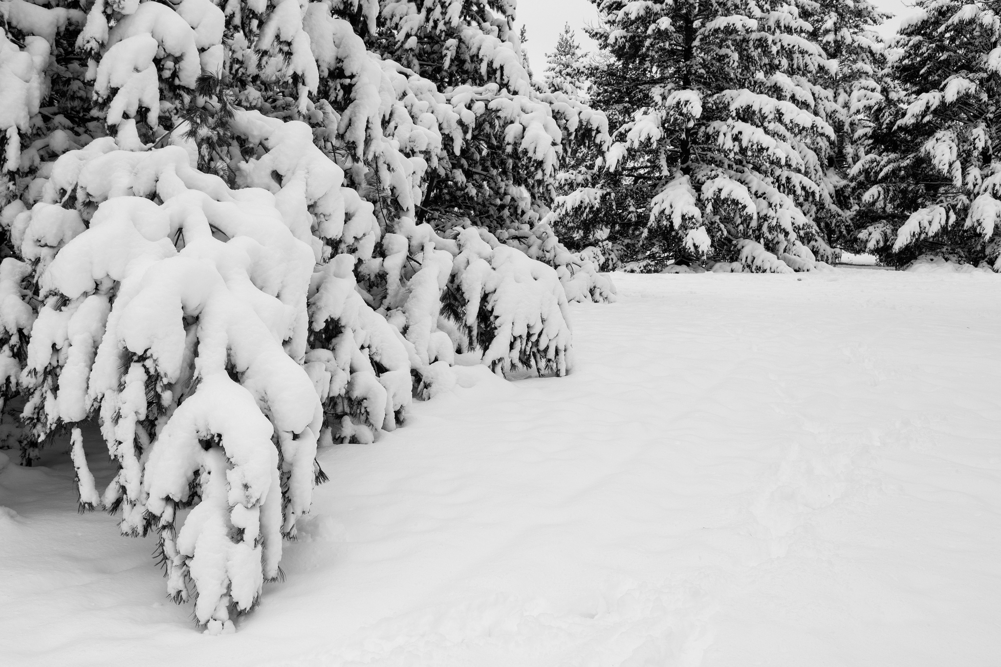 Laden Sie das Winter, Erde/natur-Bild kostenlos auf Ihren PC-Desktop herunter