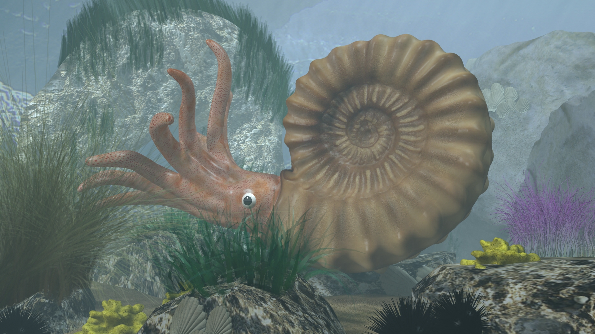 Free download wallpaper 3D, Animal, Cgi, Ammonite on your PC desktop