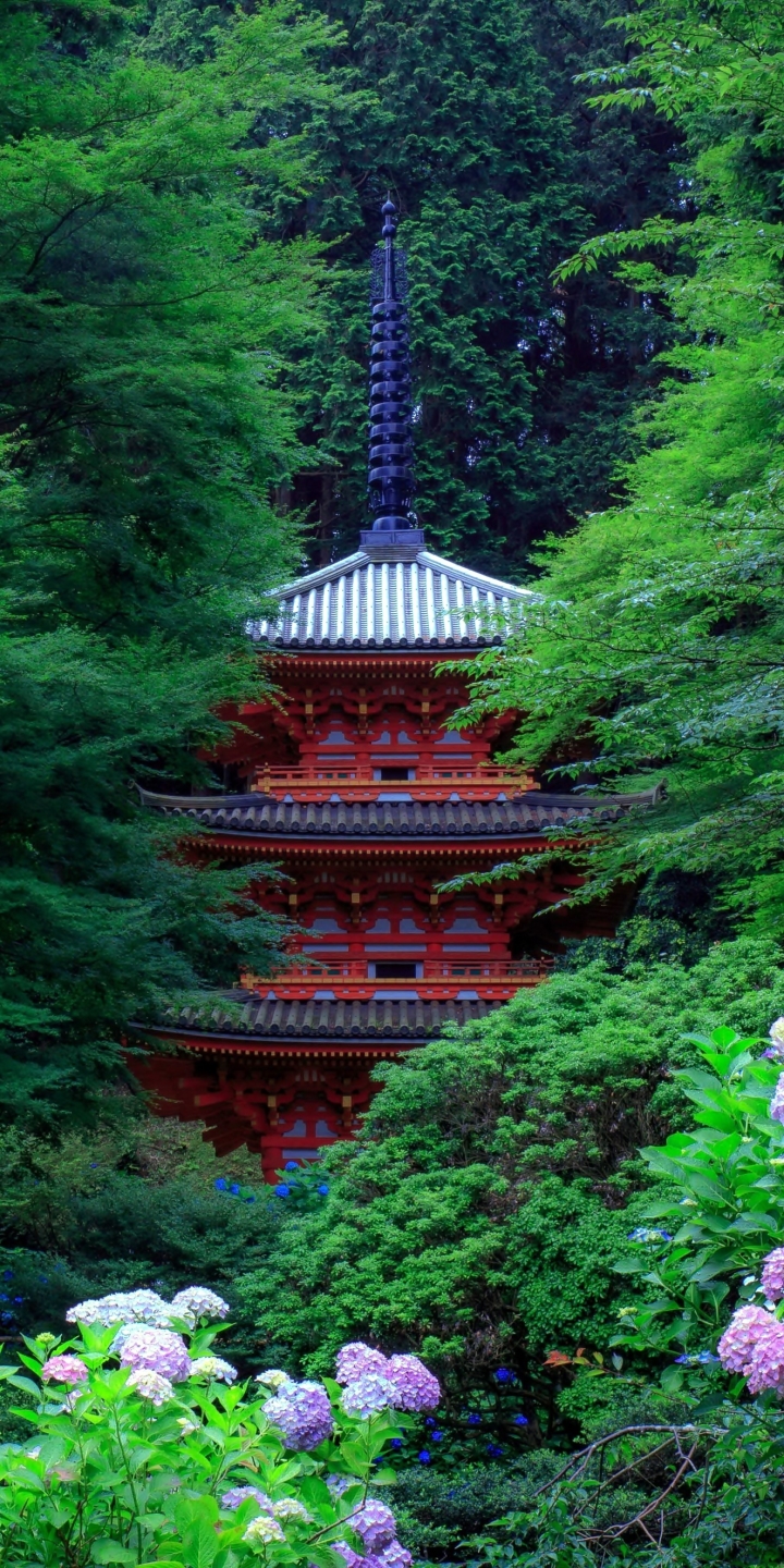 Download mobile wallpaper Pagoda, Garden, Japan, Hydrangea, Man Made for free.