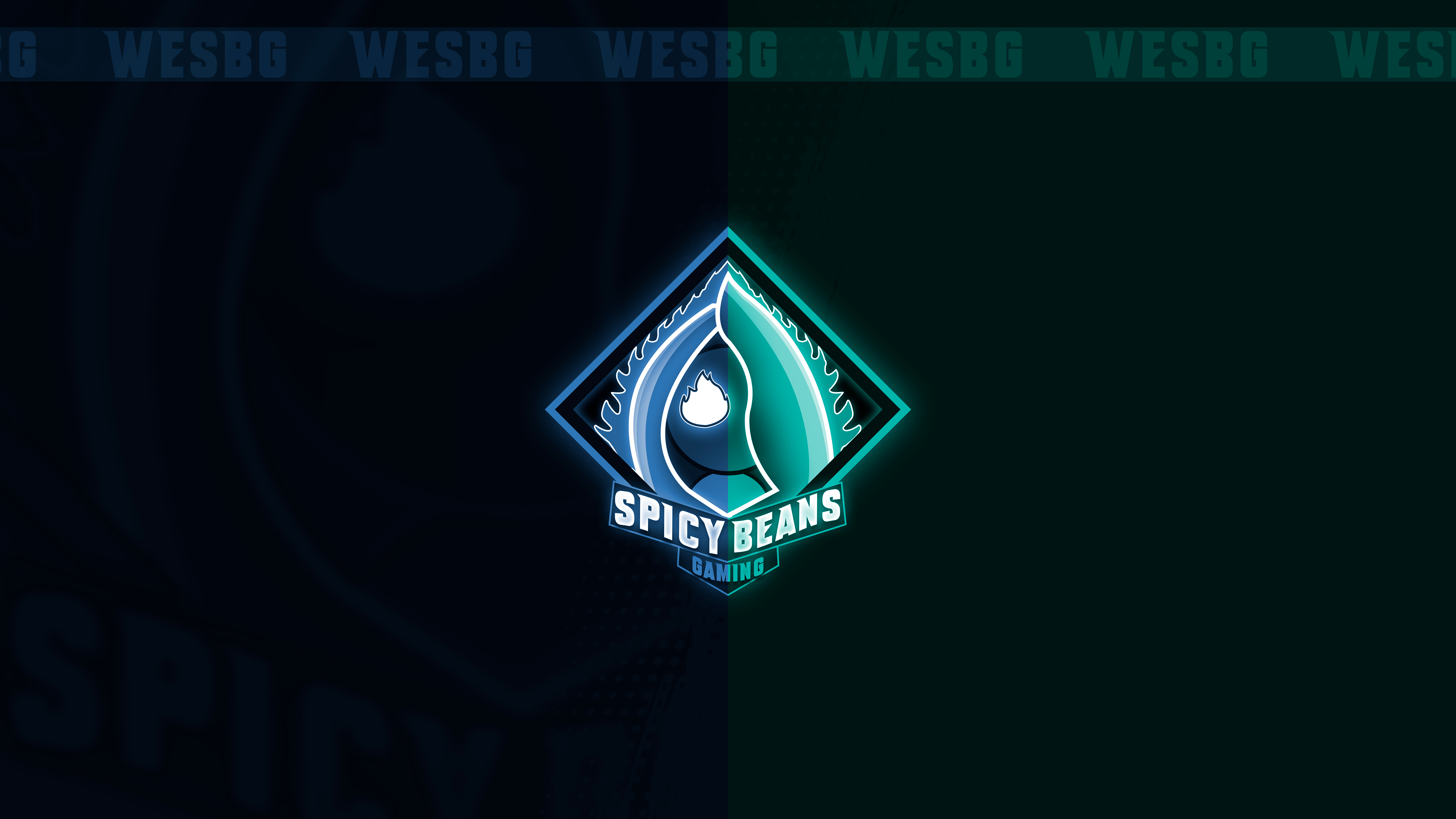 Free download wallpaper Video Game, Esports, Spicy Beans Gaming on your PC desktop