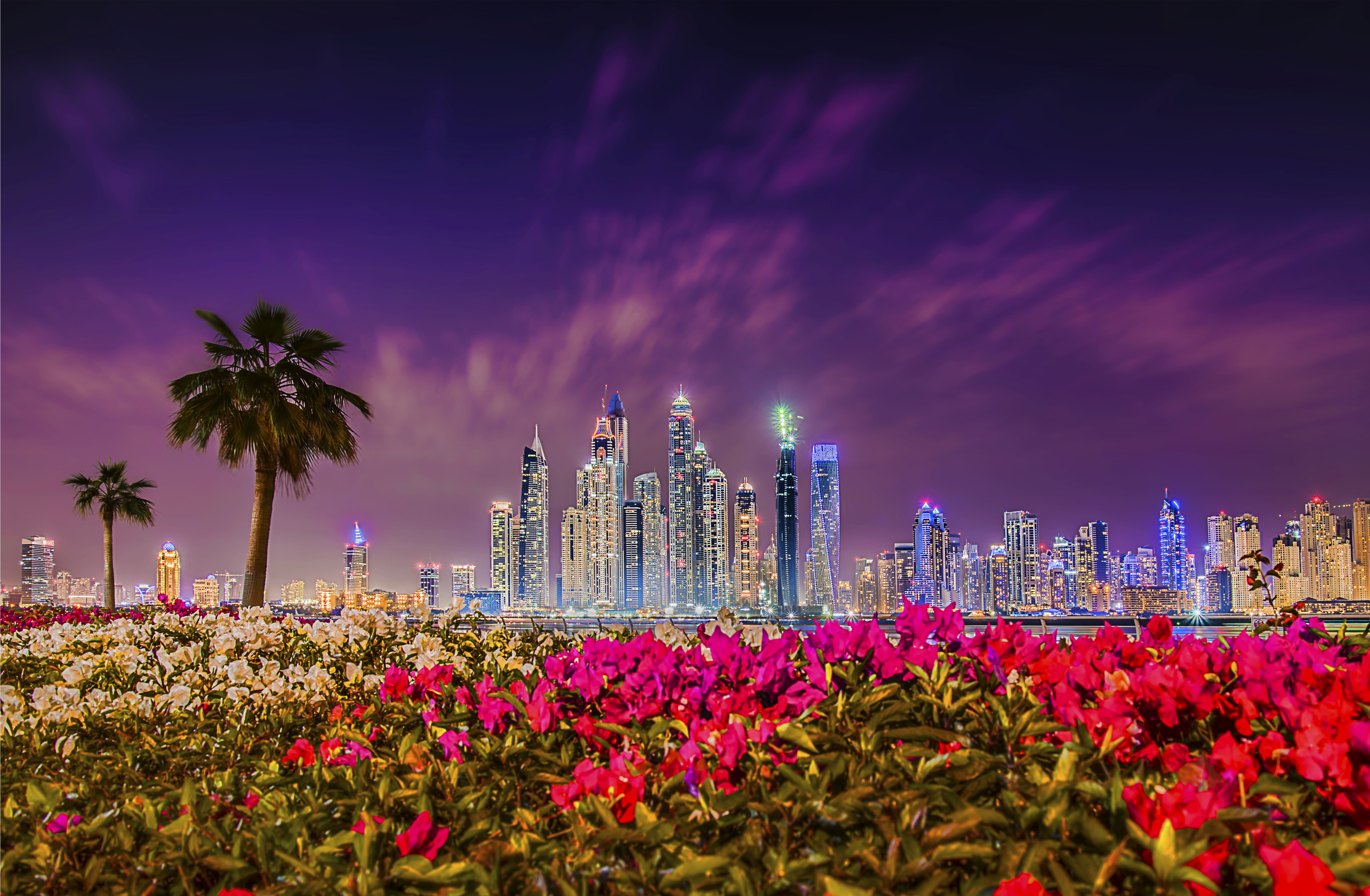 403738 descargar fondo de pantalla hecho por el hombre, dubái, edificio, ciudad, flor, noche, rascacielos, emiratos árabes unidos, ciudades: protectores de pantalla e imágenes gratis