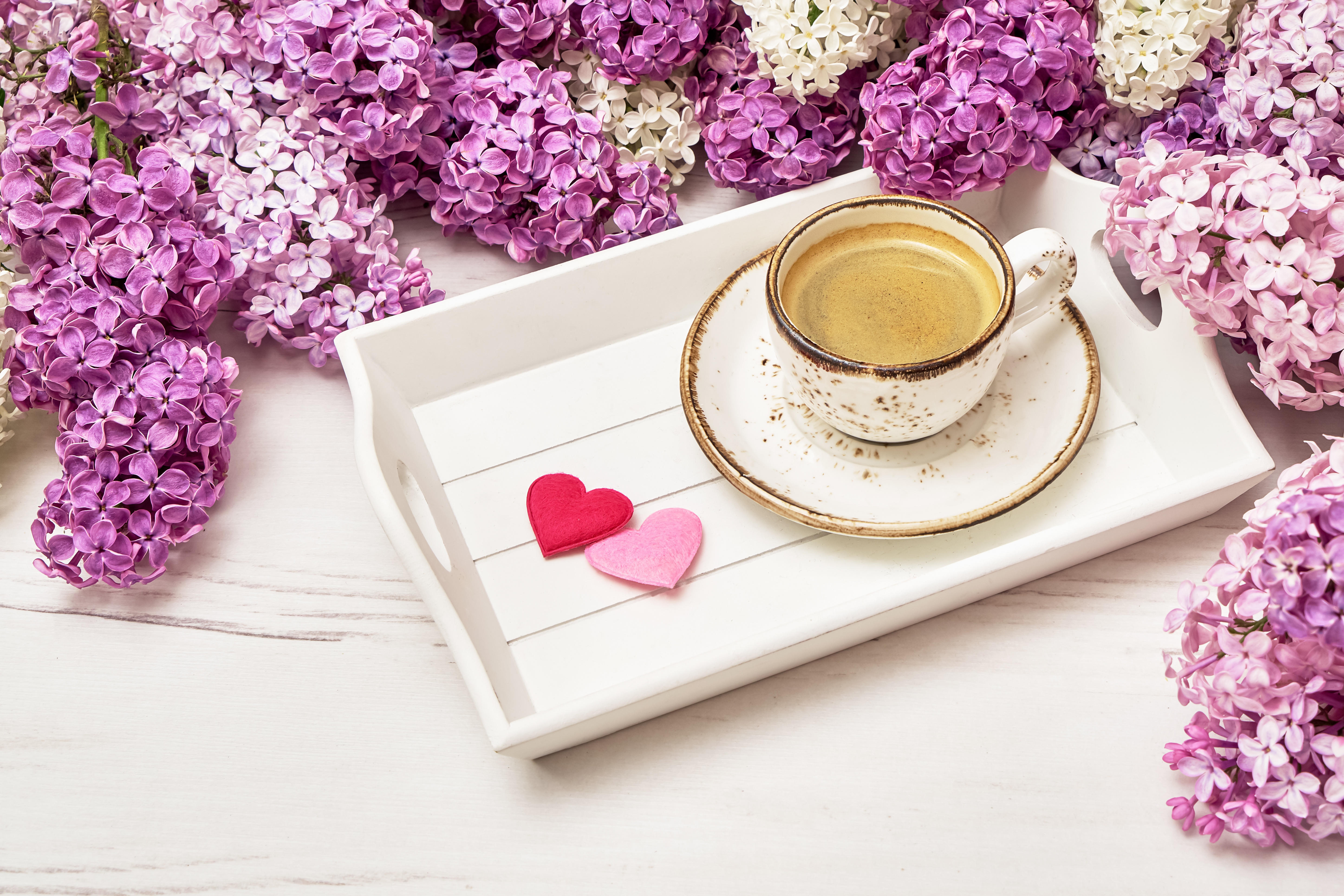 Download mobile wallpaper Food, Lilac, Coffee, Flower, Cup for free.