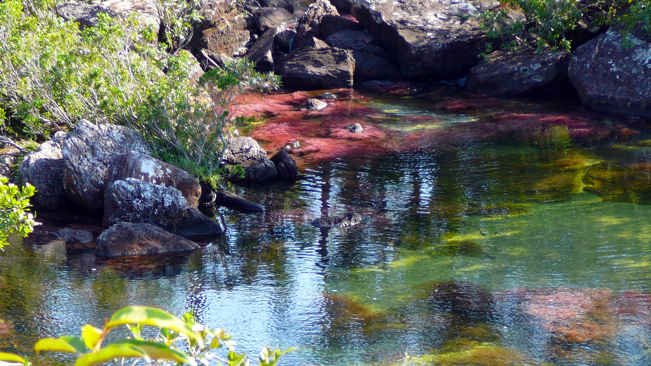 642372 baixar imagens terra/natureza, caño cristales - papéis de parede e protetores de tela gratuitamente