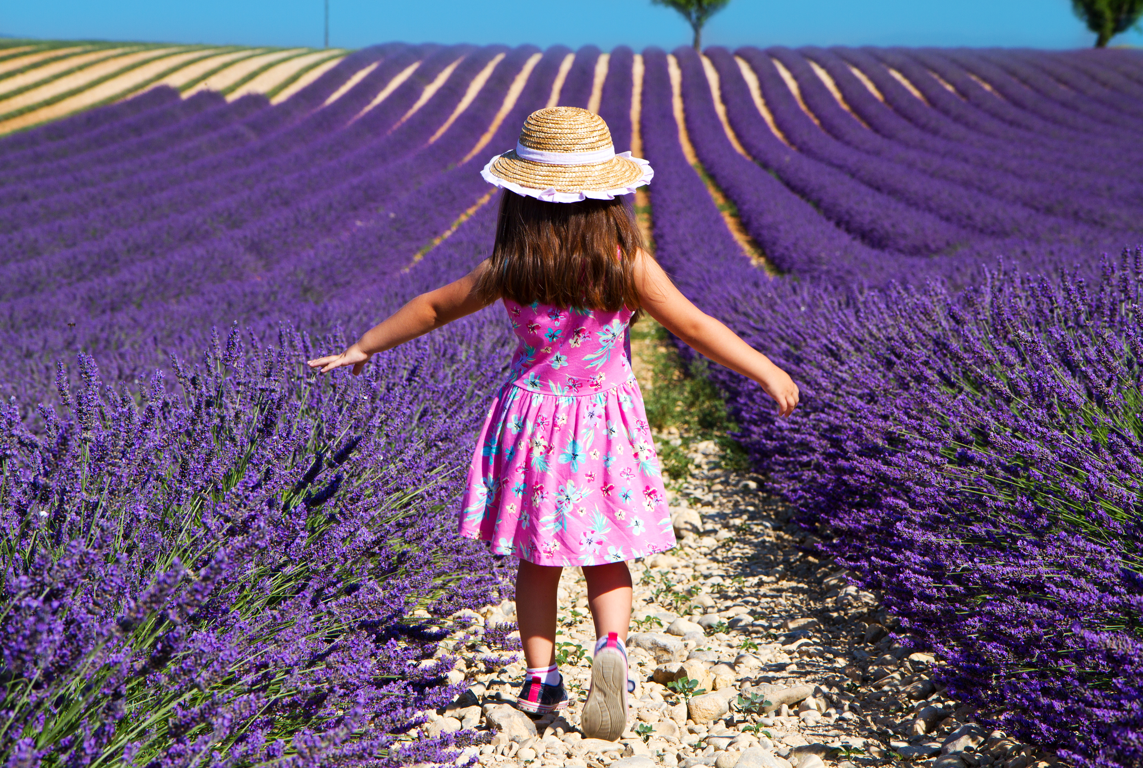 771029 скачать обои малышка, фиолетовый цветок, фотографии, ребенок, поле, шляпа, лиловый - заставки и картинки бесплатно