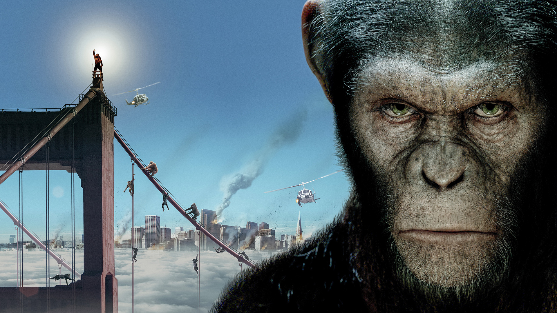 810933 descargar imagen películas, el origen del planeta de los simios: fondos de pantalla y protectores de pantalla gratis