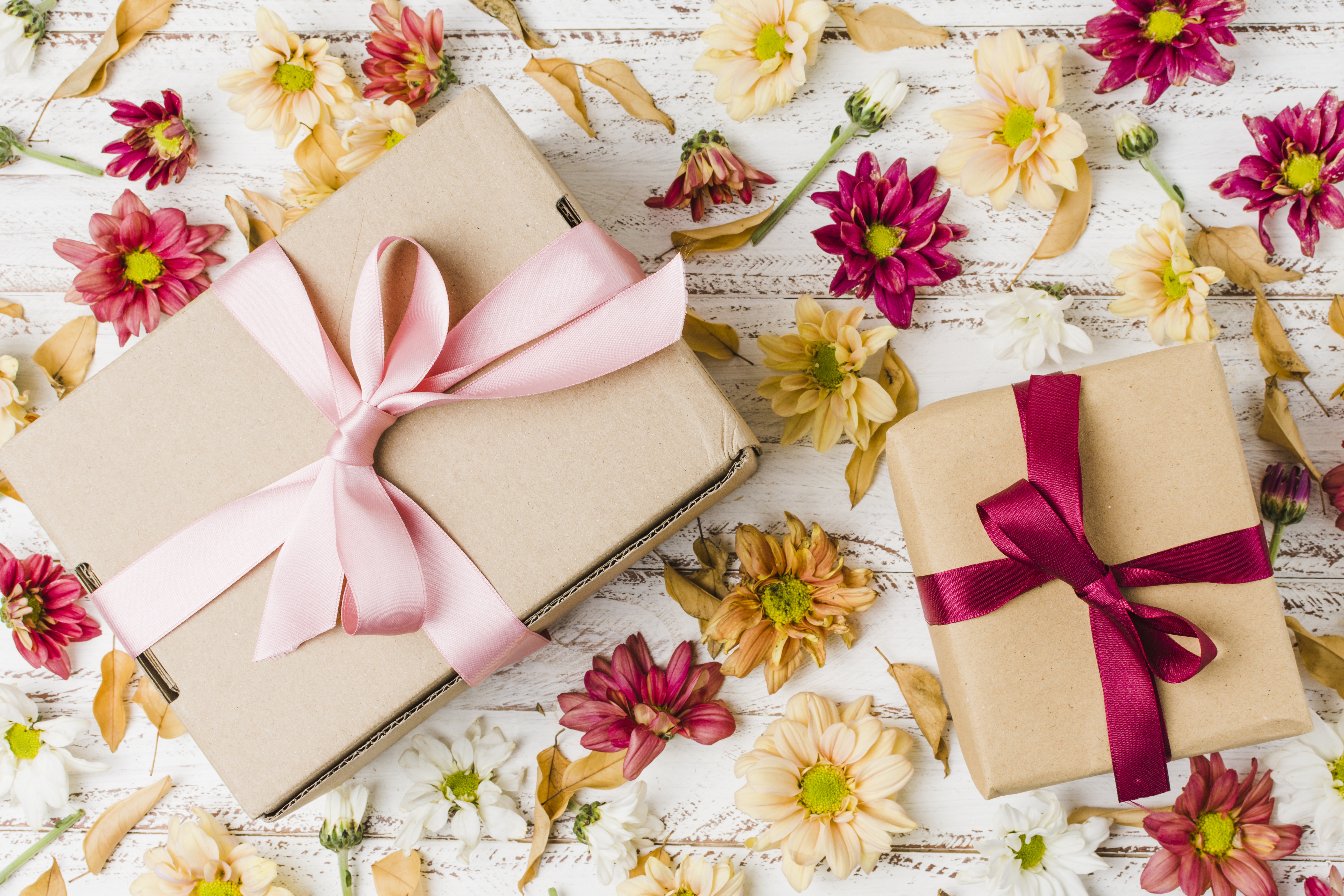 無料モバイル壁紙菊, 花, その他, 贈り物をダウンロードします。