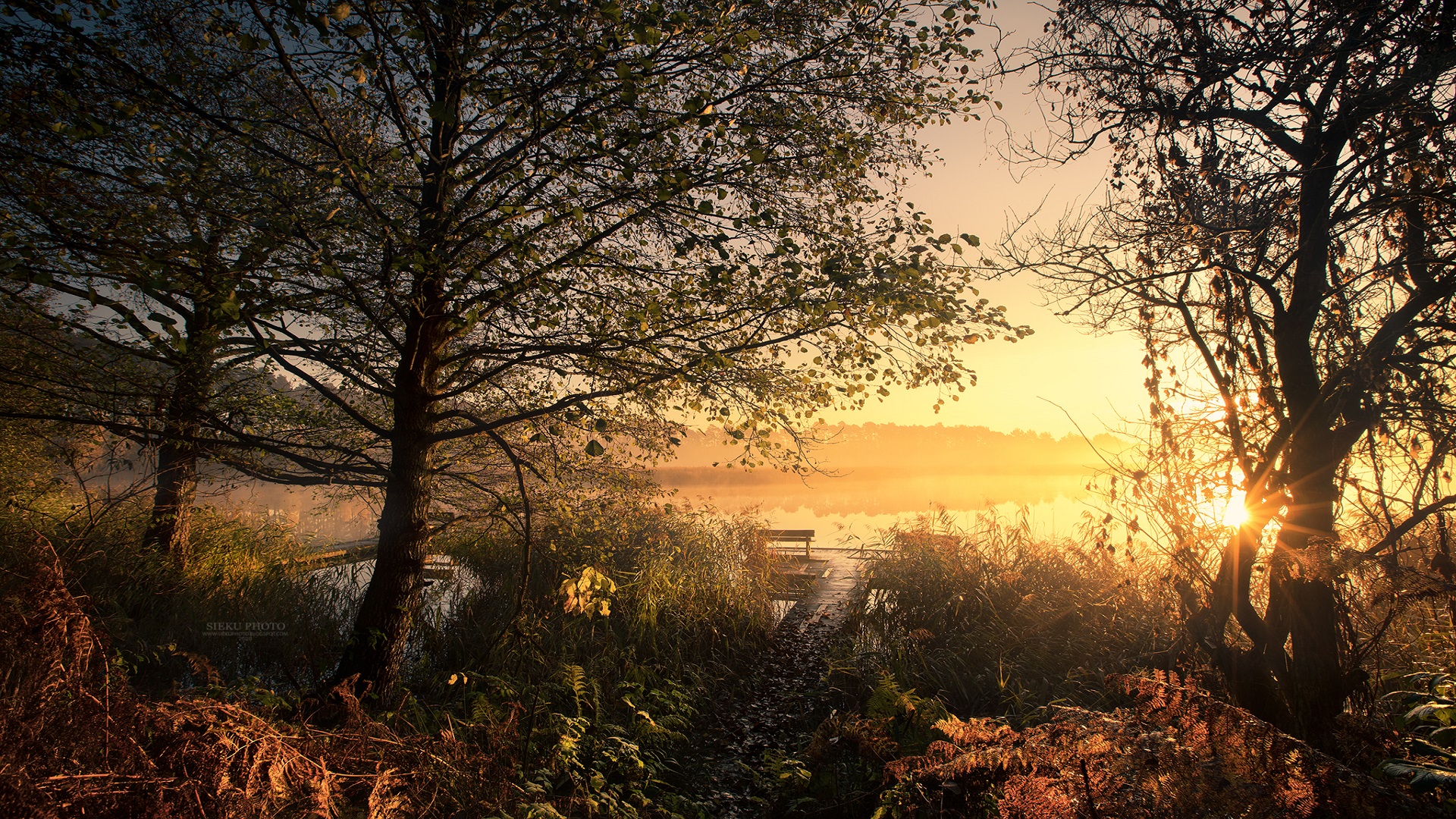 Téléchargez gratuitement l'image Coucher De Soleil, Arbre, Extérieur, La Nature, Terre/nature sur le bureau de votre PC