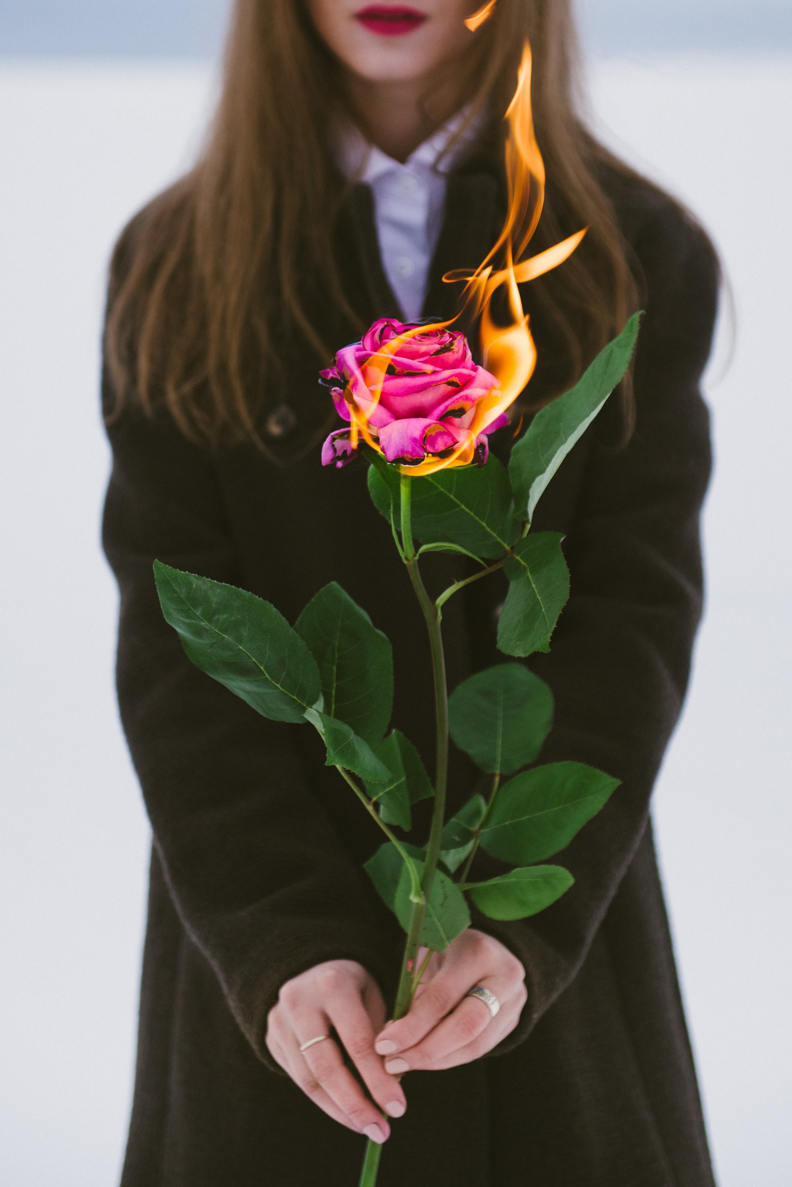 Download mobile wallpaper Fire, Miscellaneous, Miscellanea, Flower, Rose, Flame, Rose Flower, Hands, Girl for free.