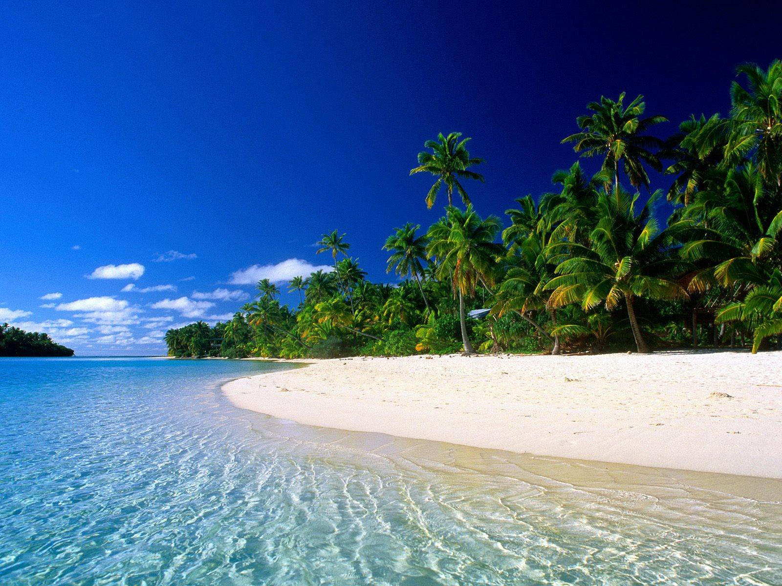 Скачать картинку Пальмы, Пейзаж, Море, Пляж в телефон бесплатно.