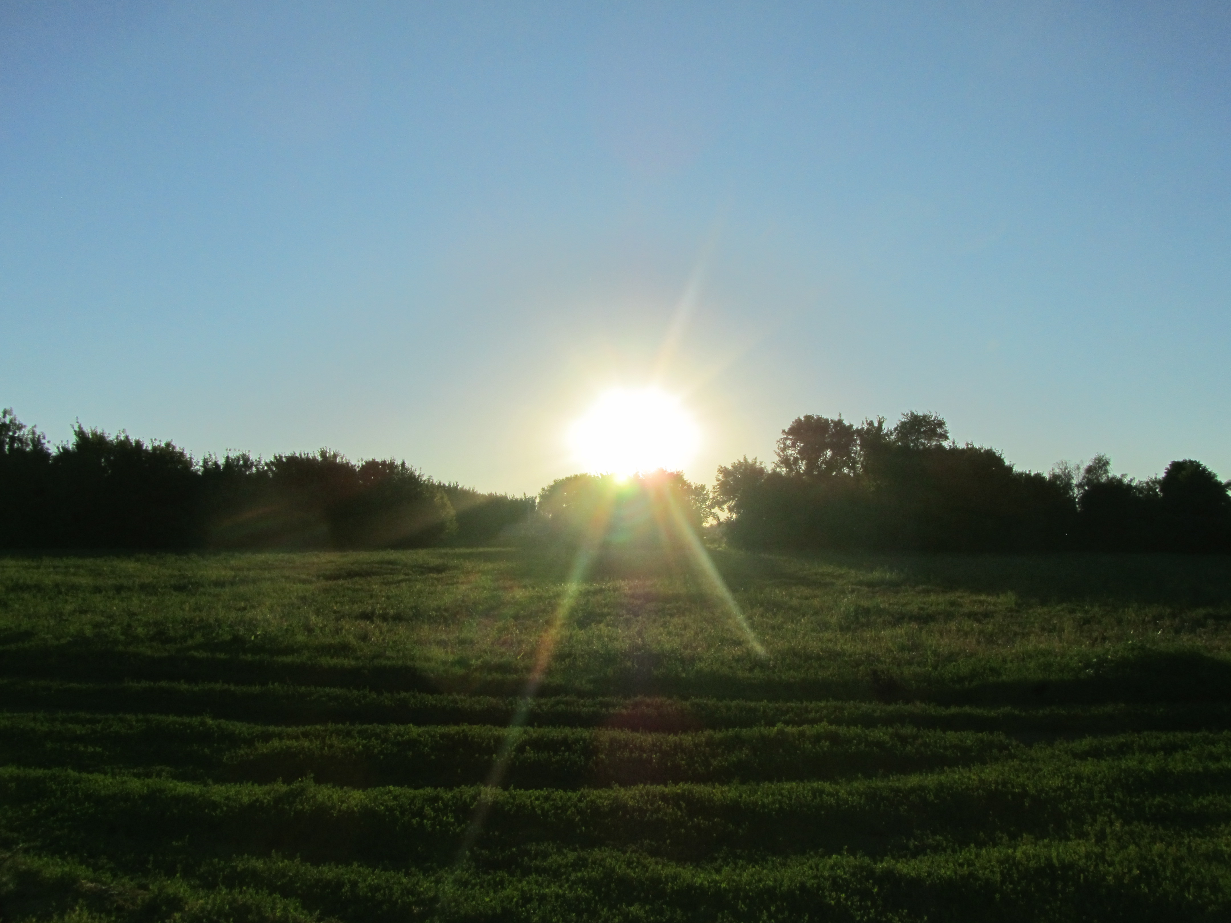 Descarga gratuita de fondo de pantalla para móvil de Paisaje, Tierra/naturaleza.