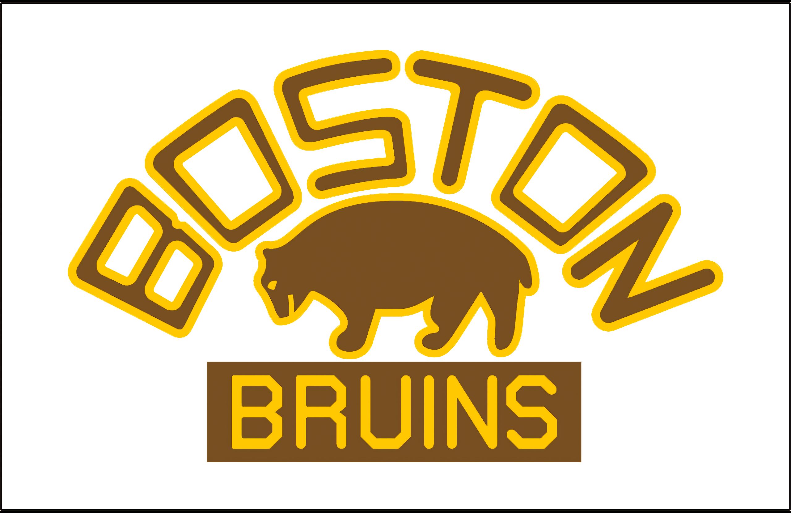 Descarga gratis la imagen Hockey, Deporte, Bruins De Boston en el escritorio de tu PC