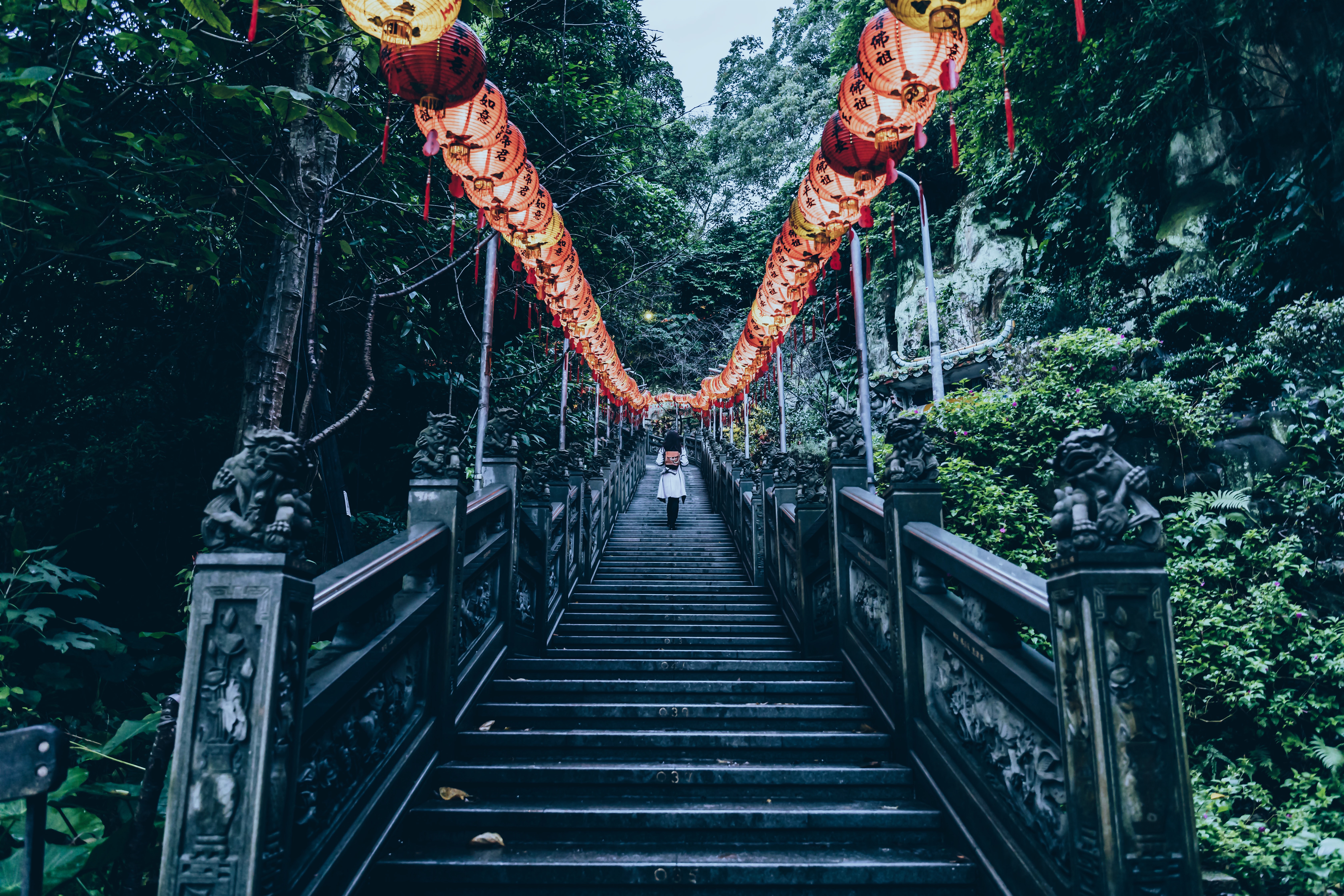 155655壁紙のダウンロード自然, 木, 登る, 階段, 梯子, 持ち上げる, ちょうちん, 中国灯籠-スクリーンセーバーと写真を無料で