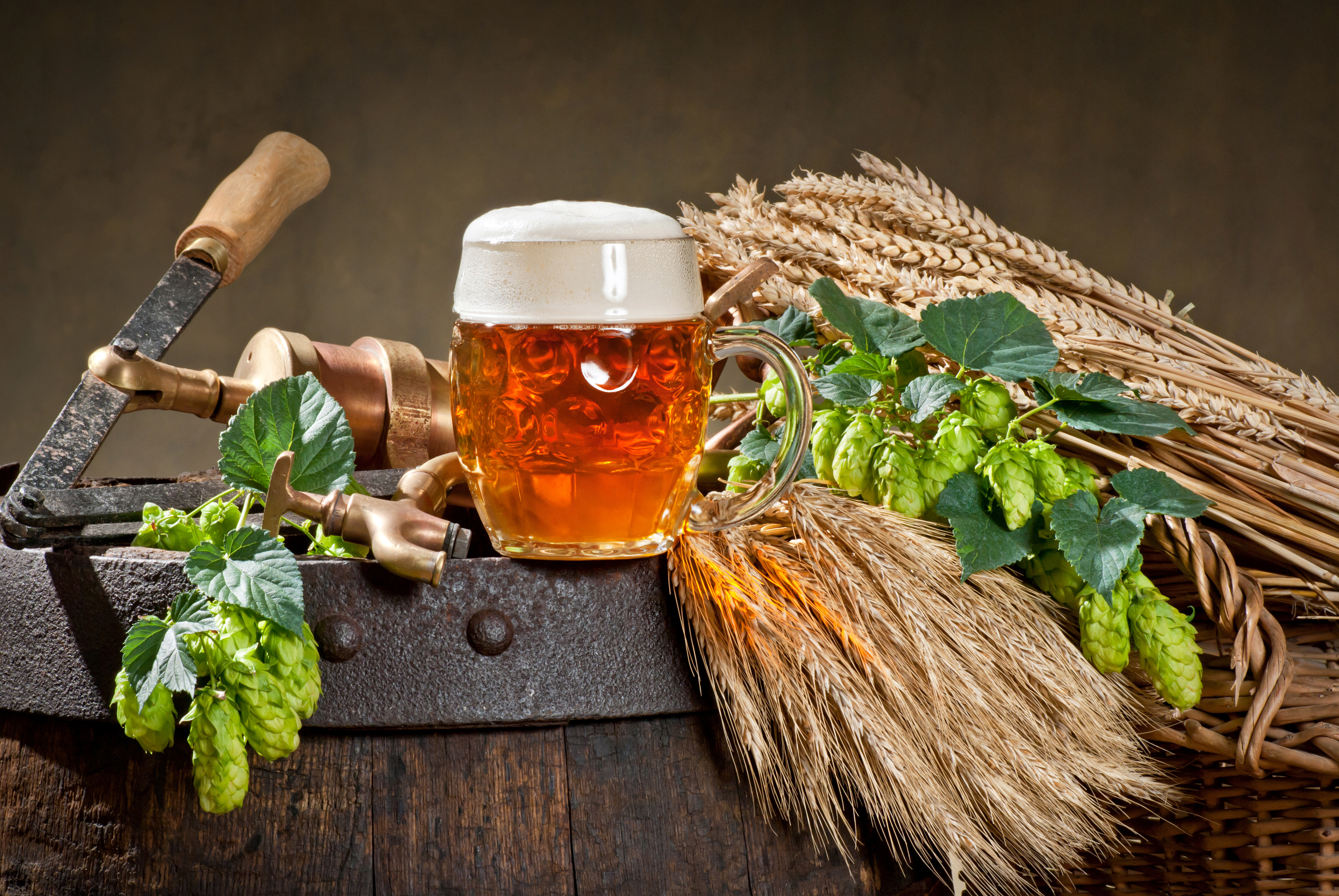 Free download wallpaper Food, Beer, Wheat, Still Life, Glass on your PC desktop