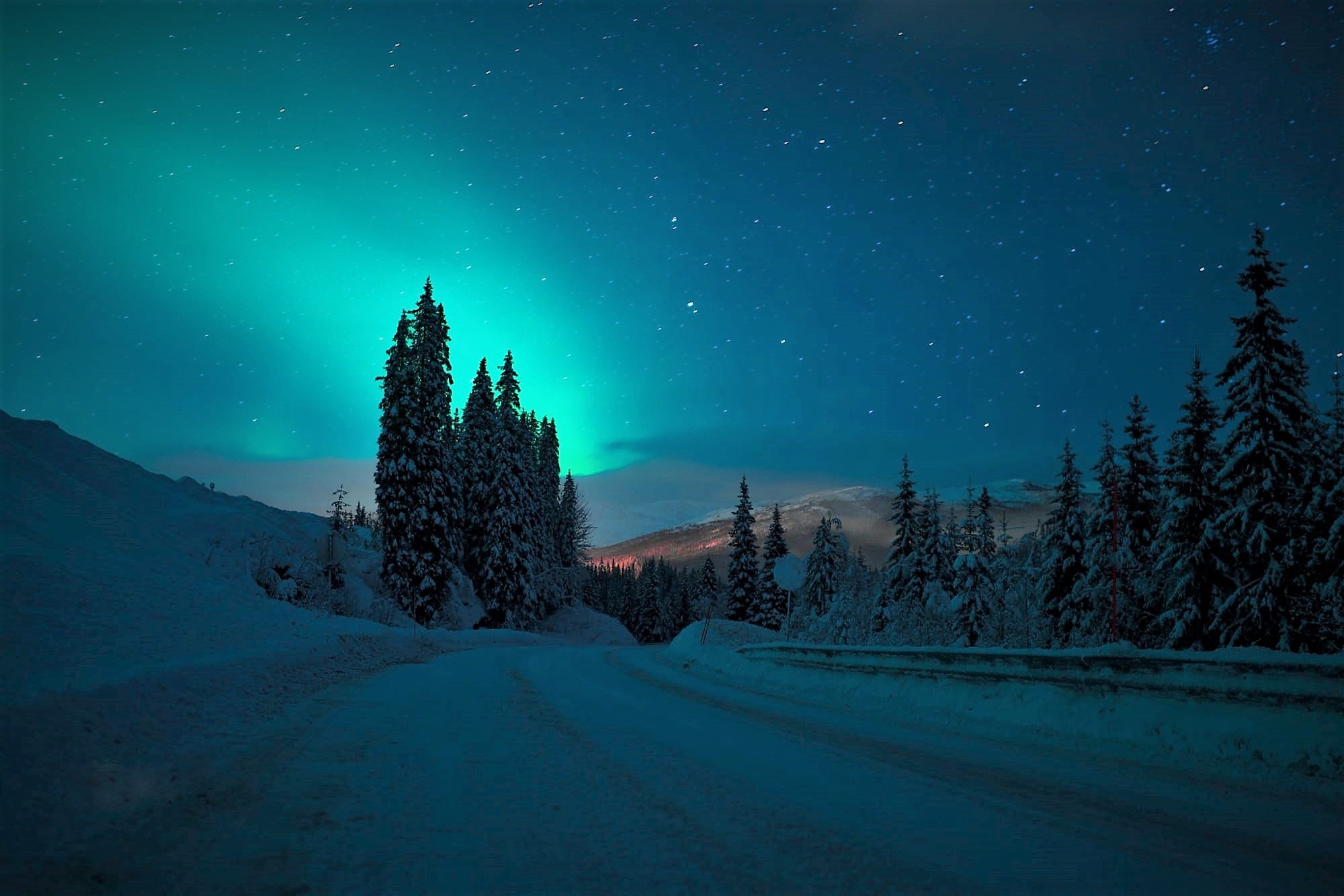 Free download wallpaper Winter, Sky, Night, Snow, Road, Tree, Earth, Aurora Borealis on your PC desktop