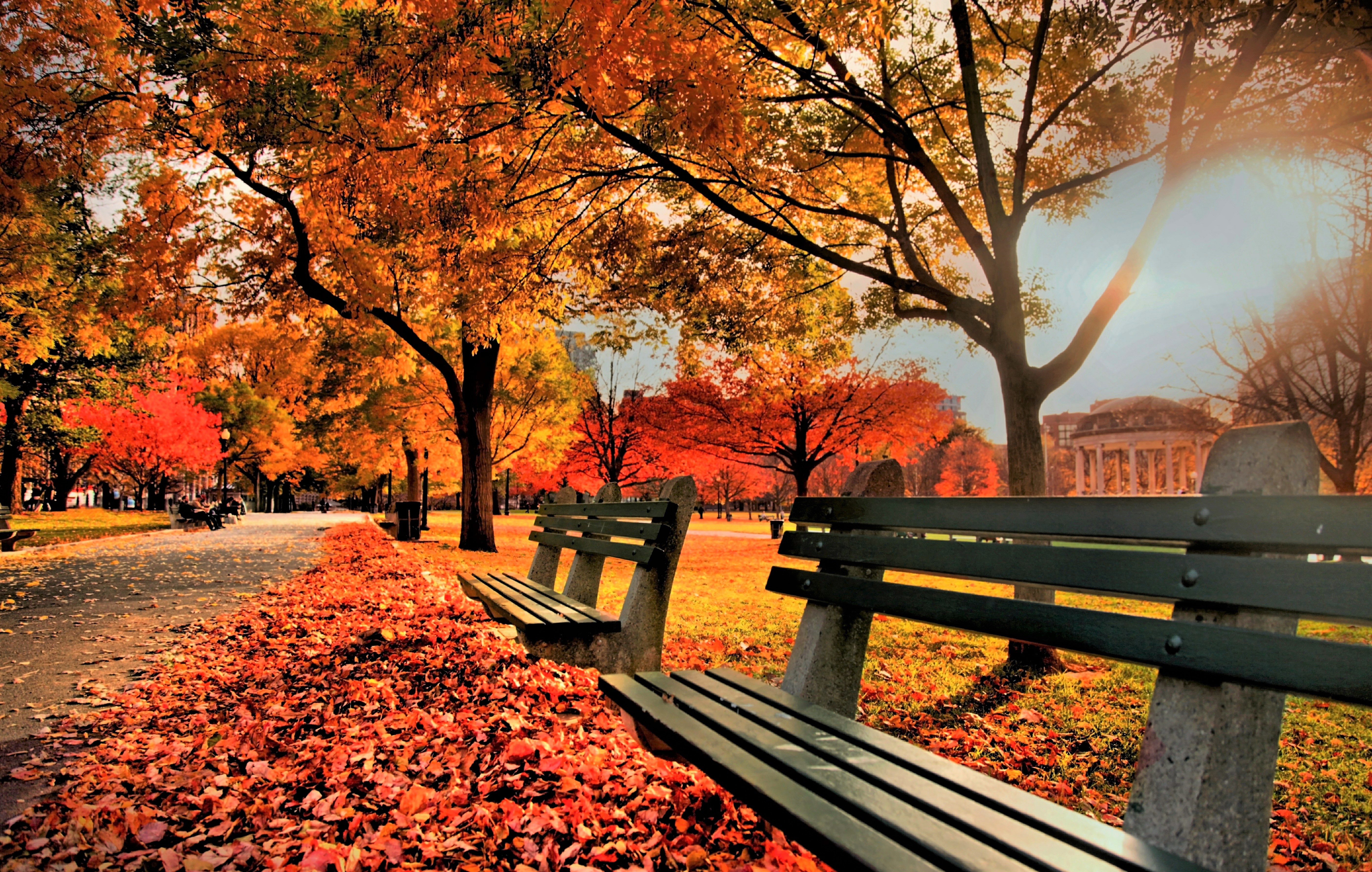 Скачать картинку Осень, Парк, Дерево, Листва, Красочный, Скамейка, Фотографии в телефон бесплатно.
