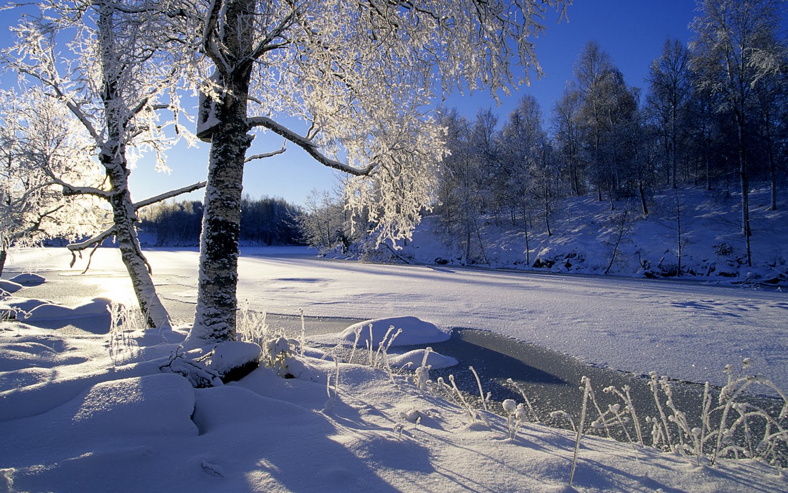 Téléchargez gratuitement l'image Hiver, Terre/nature sur le bureau de votre PC