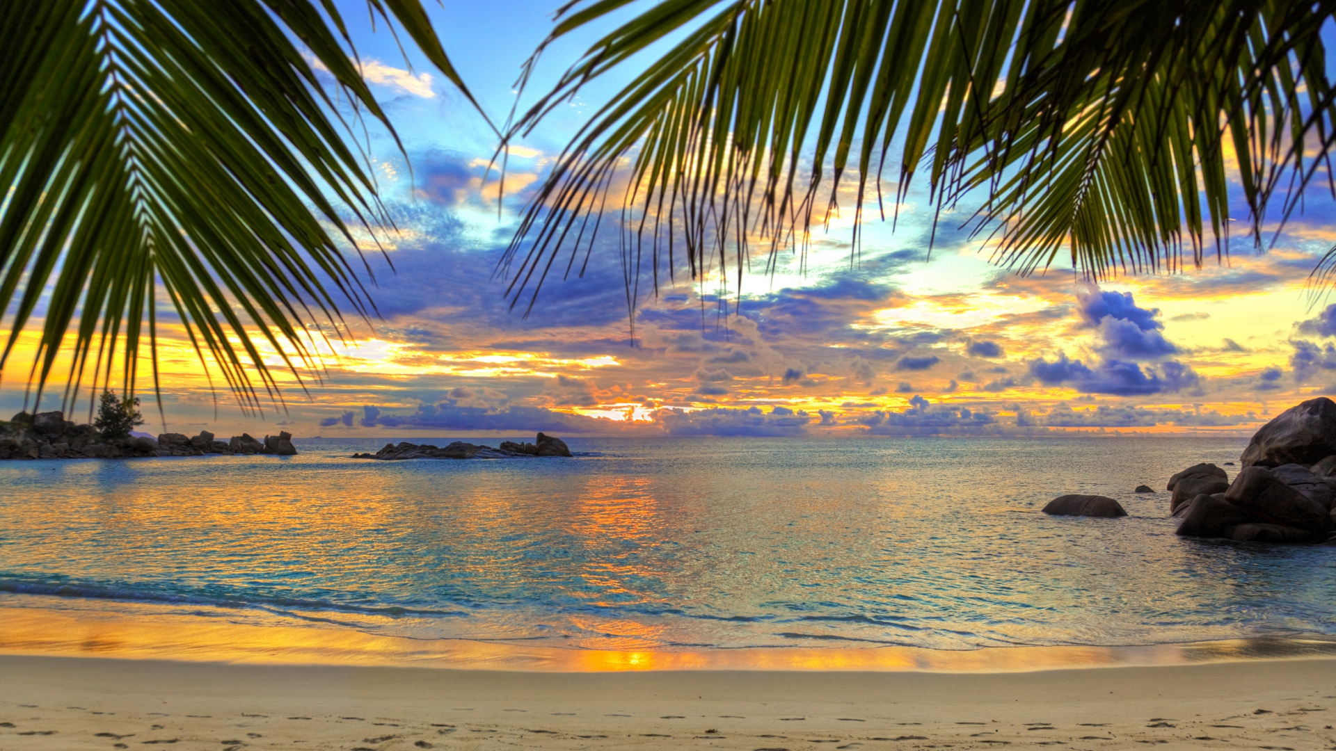 Free download wallpaper Nature, Sunset, Sky, Beach, Horizon, Ocean, Earth, Tropical, Palm Tree on your PC desktop