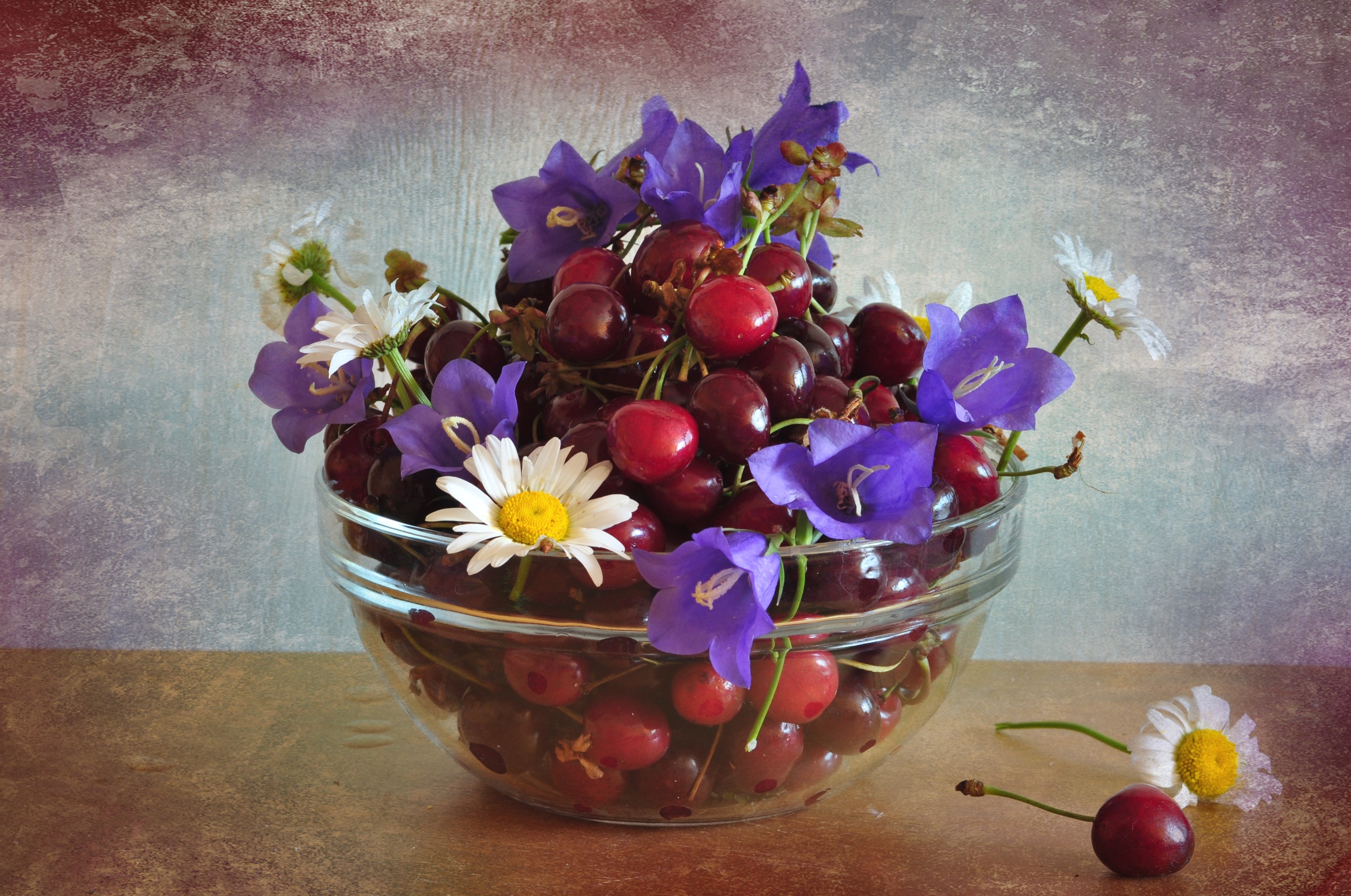 Descarga gratis la imagen Frutas, Cereza, Flor, Fruta, Alimento, Bodegón en el escritorio de tu PC