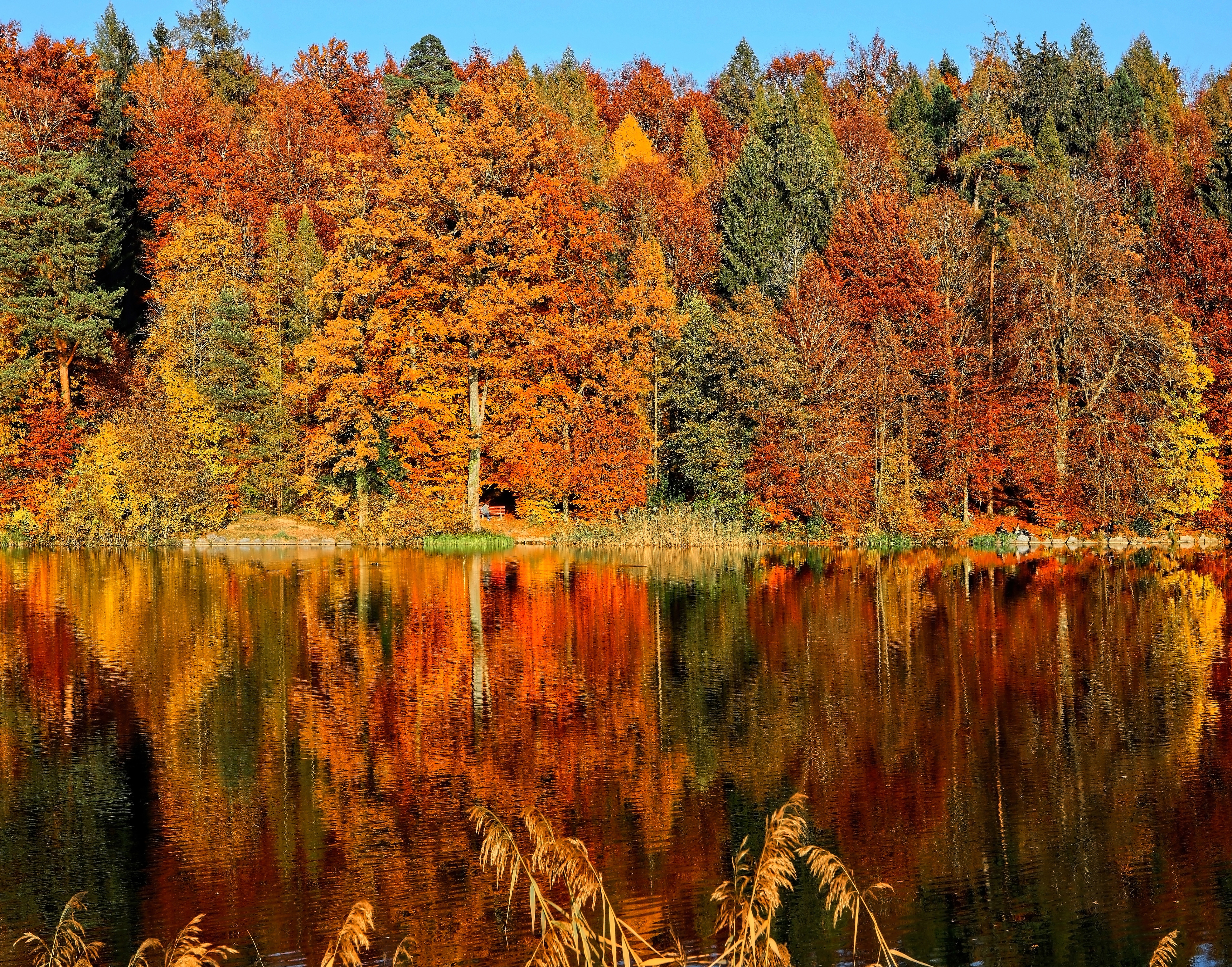 Laden Sie das Flüsse, Herbst, Reflexion, Bäume, Natur-Bild kostenlos auf Ihren PC-Desktop herunter