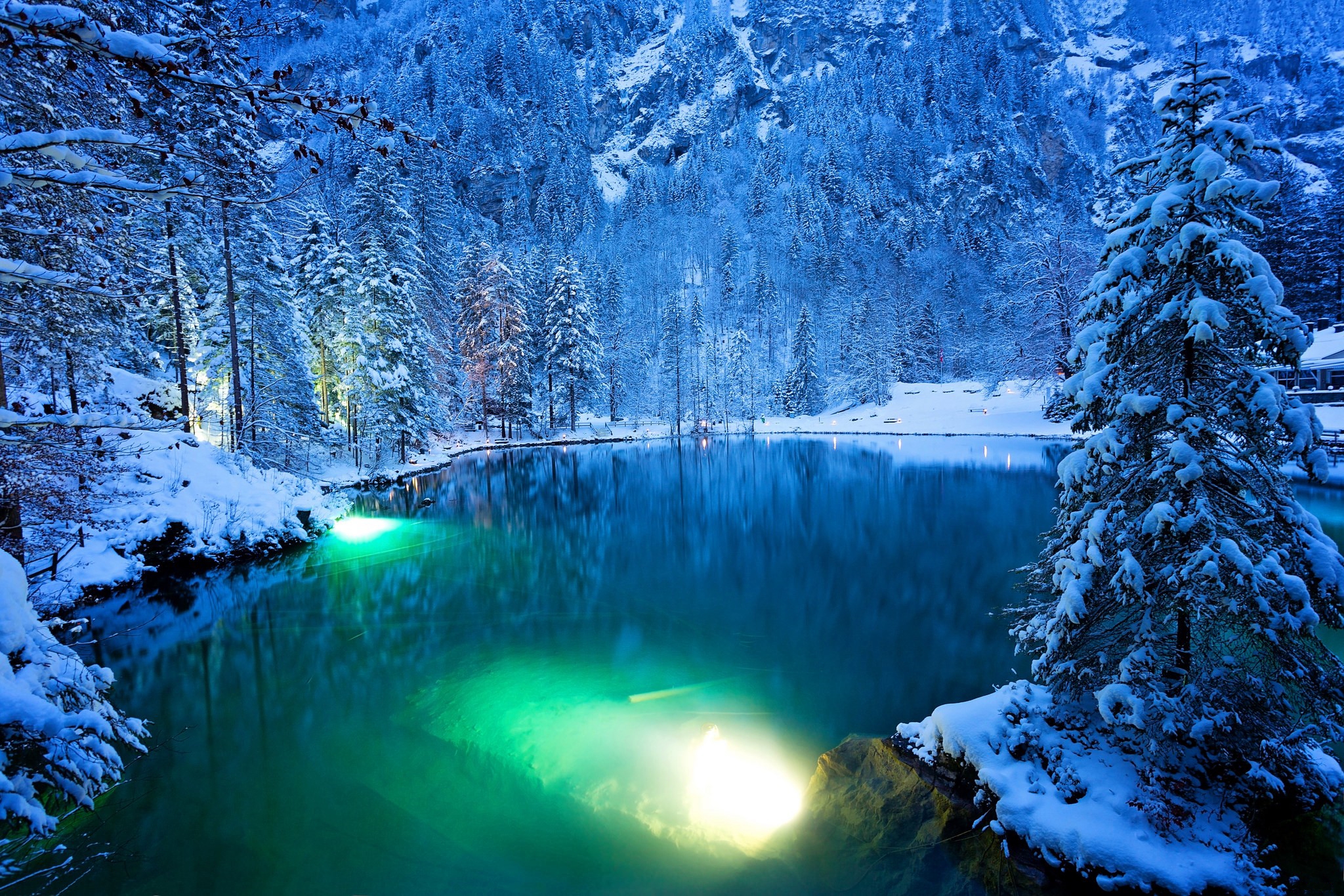 Скачать картинку Зима, Снег, Озера, Озеро, Дерево, Синий, Швейцария, Земля/природа в телефон бесплатно.