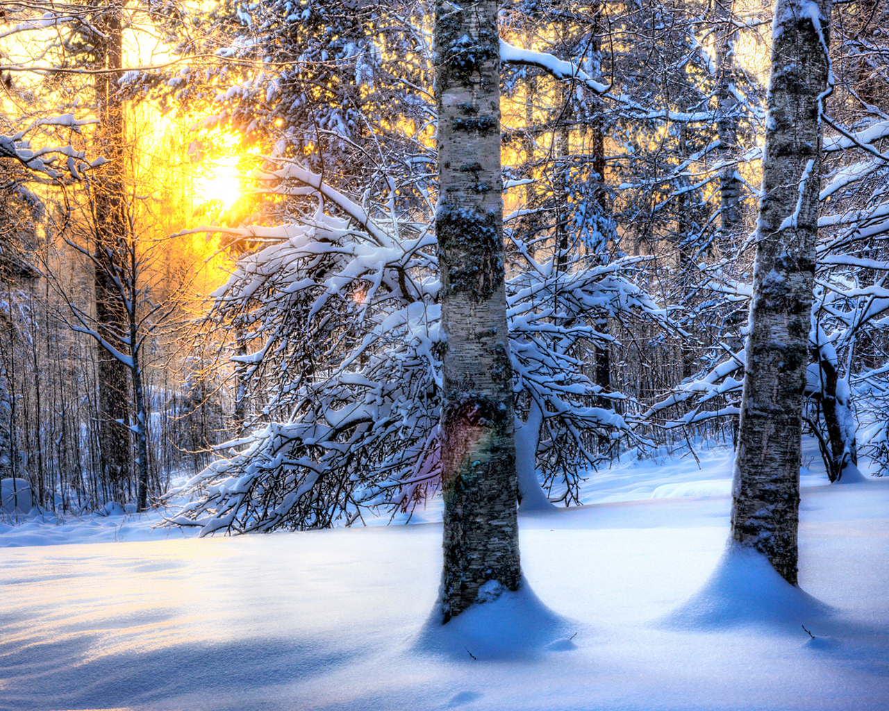 Handy-Wallpaper Winter, Landschaft, Bäume, Sun, Schnee kostenlos herunterladen.