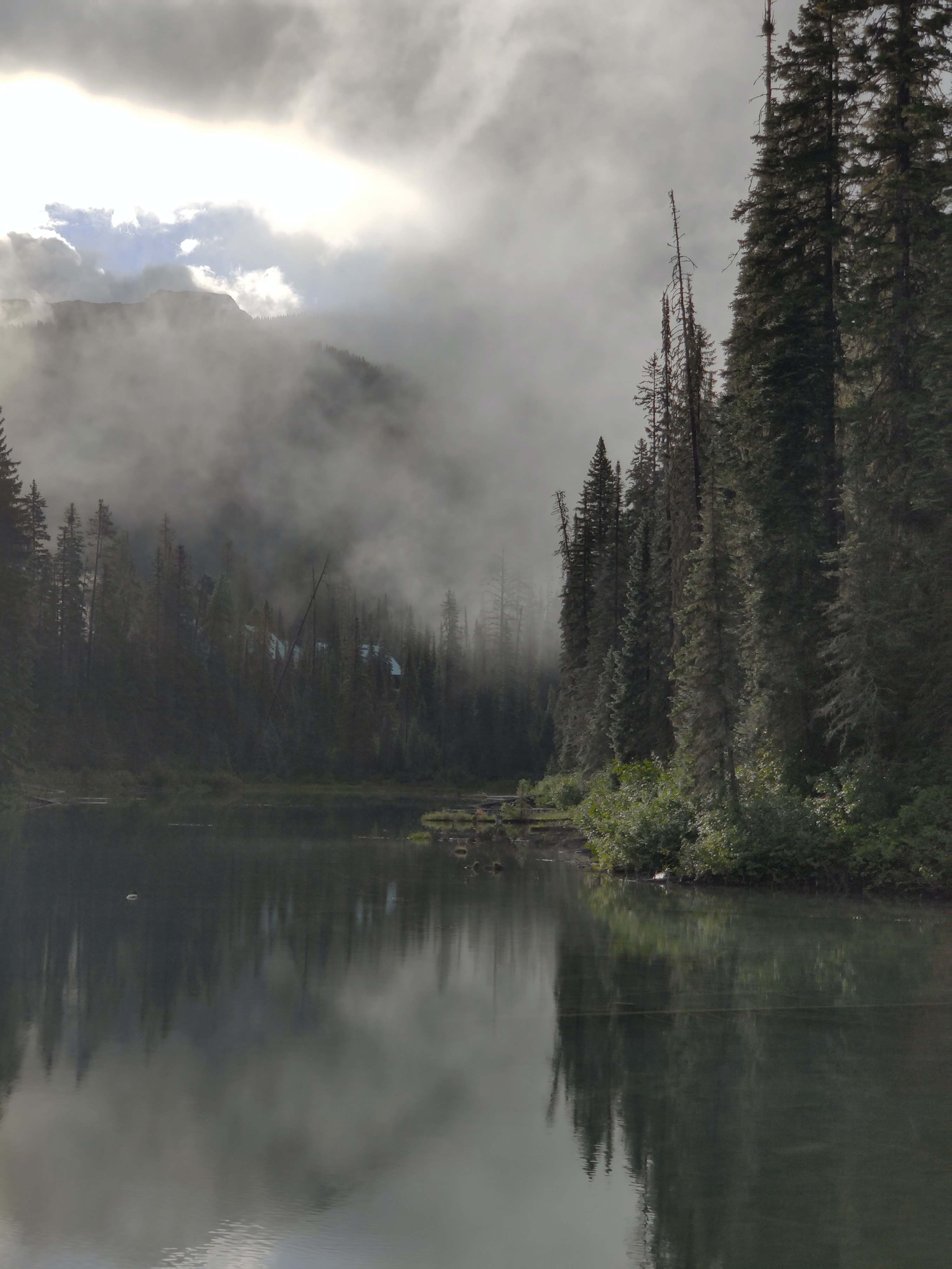 Laden Sie das Wald, Nebel, Dunkelheit, Natur, Bäume, Flüsse-Bild kostenlos auf Ihren PC-Desktop herunter
