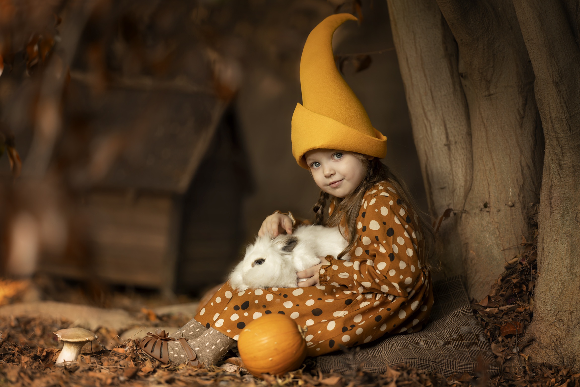 Free download wallpaper Pumpkin, Cap, Child, Rabbit, Trunk, Photography on your PC desktop