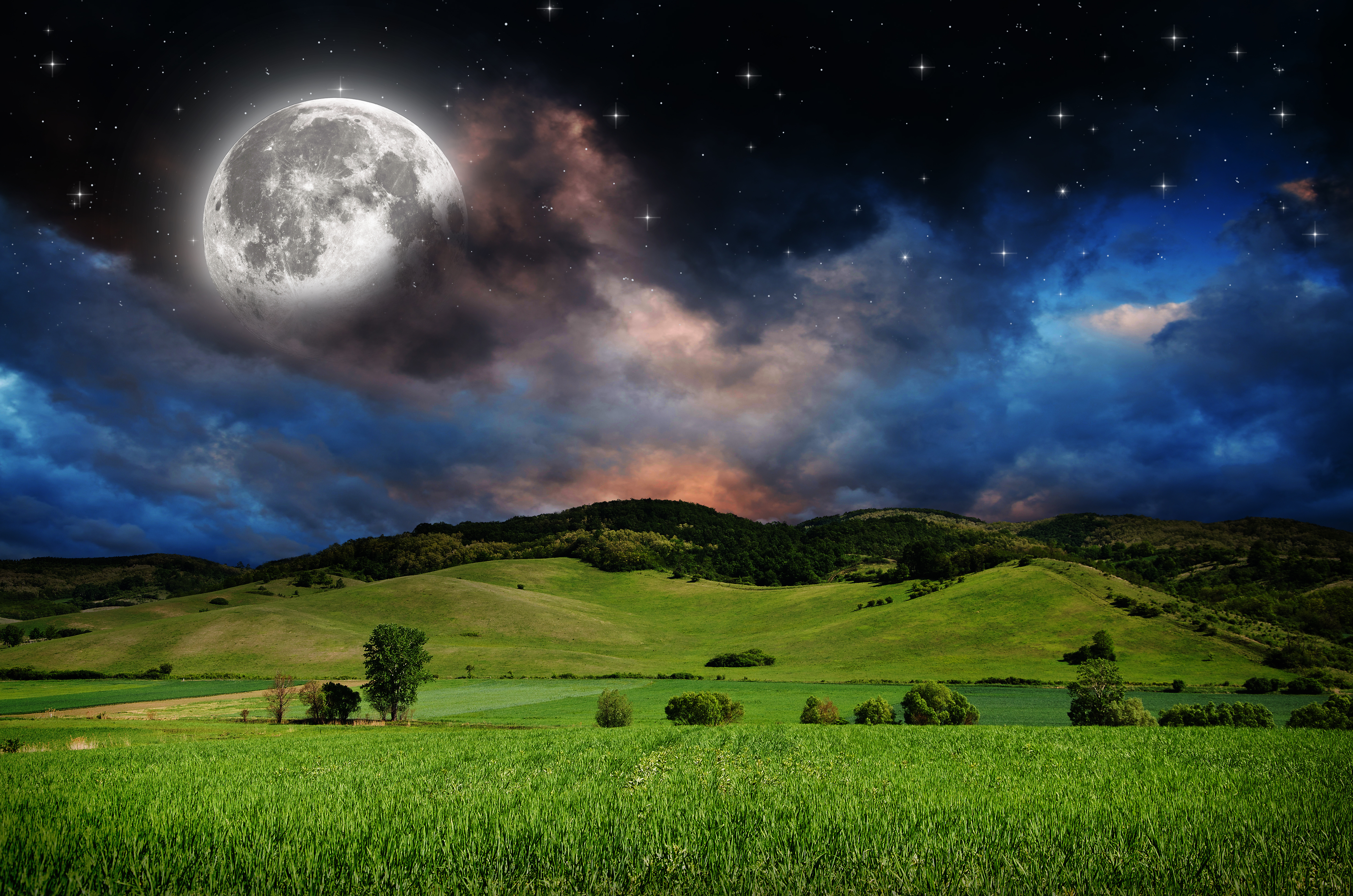 798680 завантажити картинку зоряне небо, земля, місяць, поле, луг, небо, зірки - шпалери і заставки безкоштовно