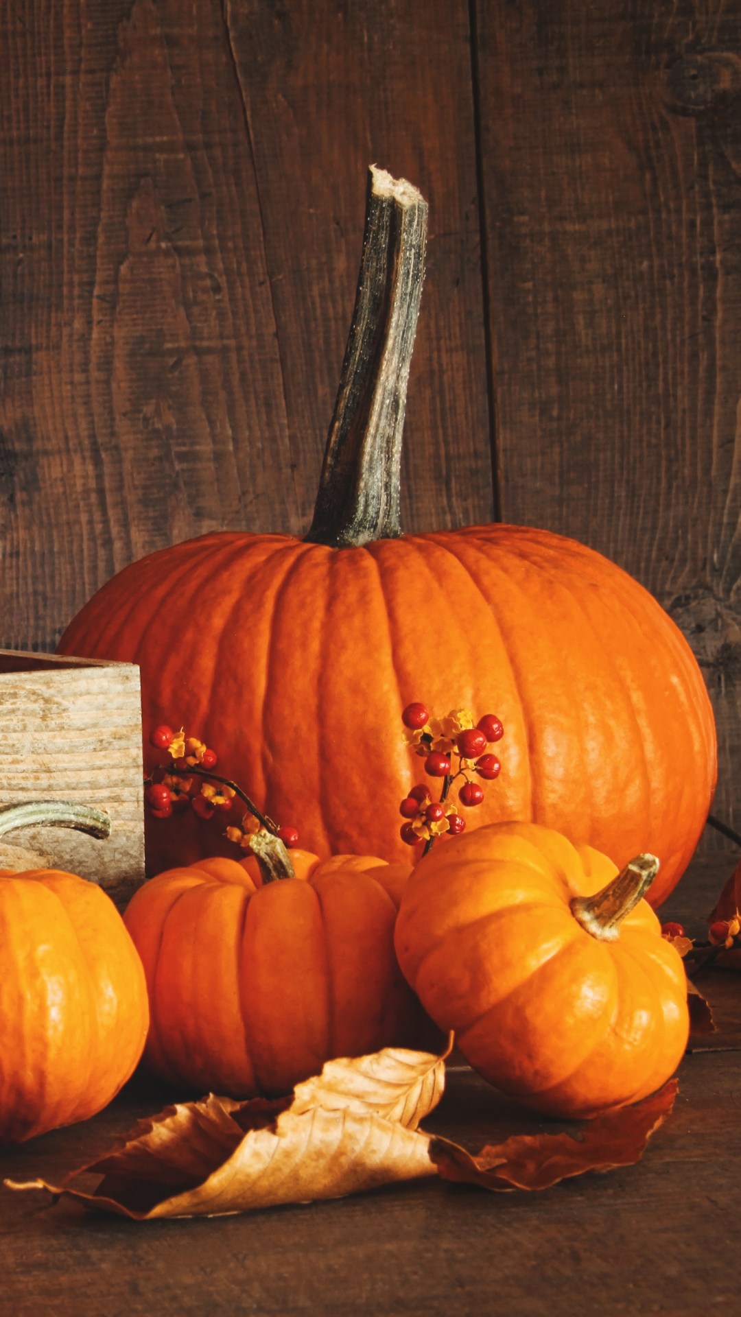 無料モバイル壁紙秋, 静物, かぼちゃ, 食べ物をダウンロードします。