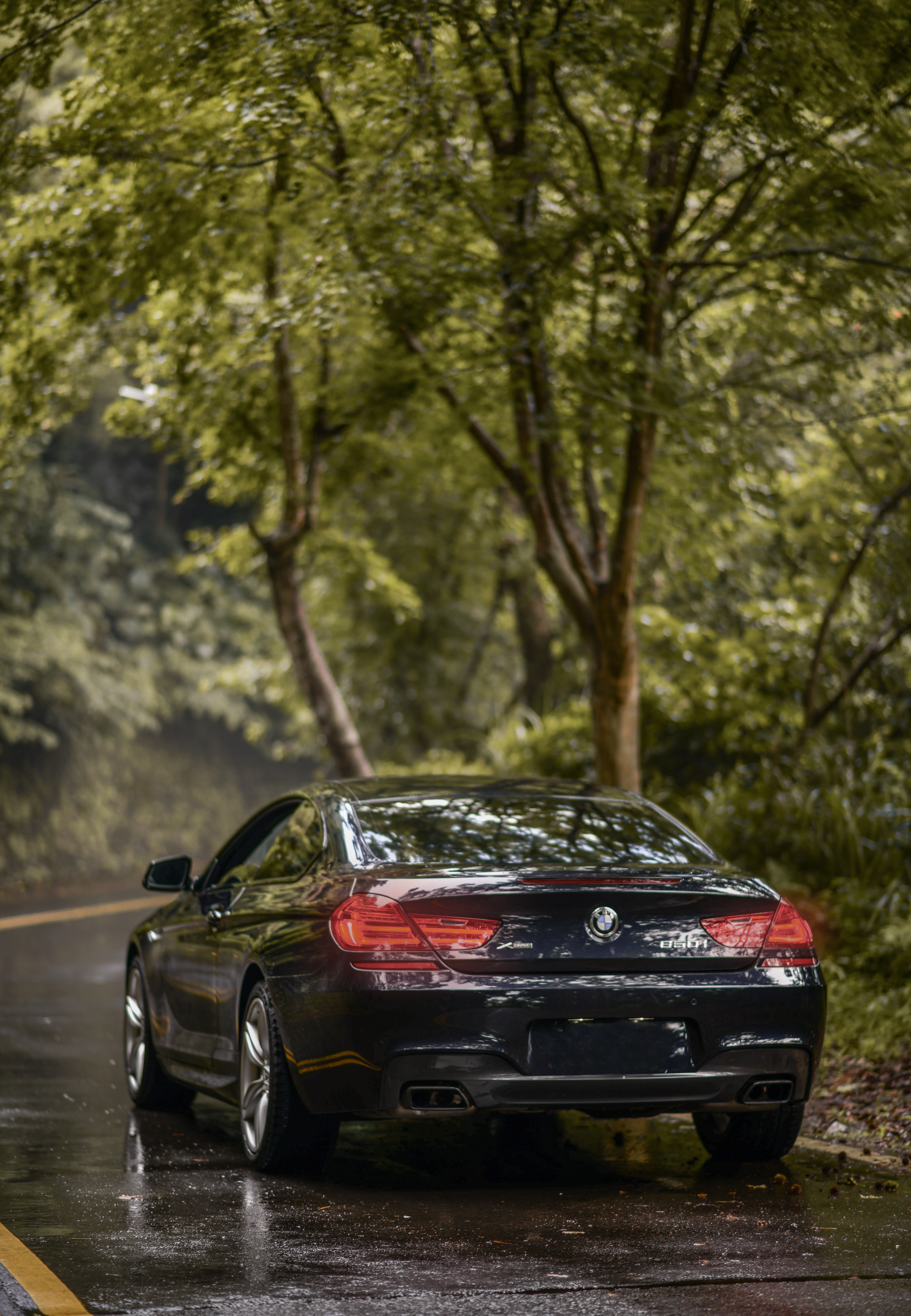 bmw 650i m sport, dark blue, sports, bmw, cars, car, machine, back view, rear view, coupe, compartment, sapphire