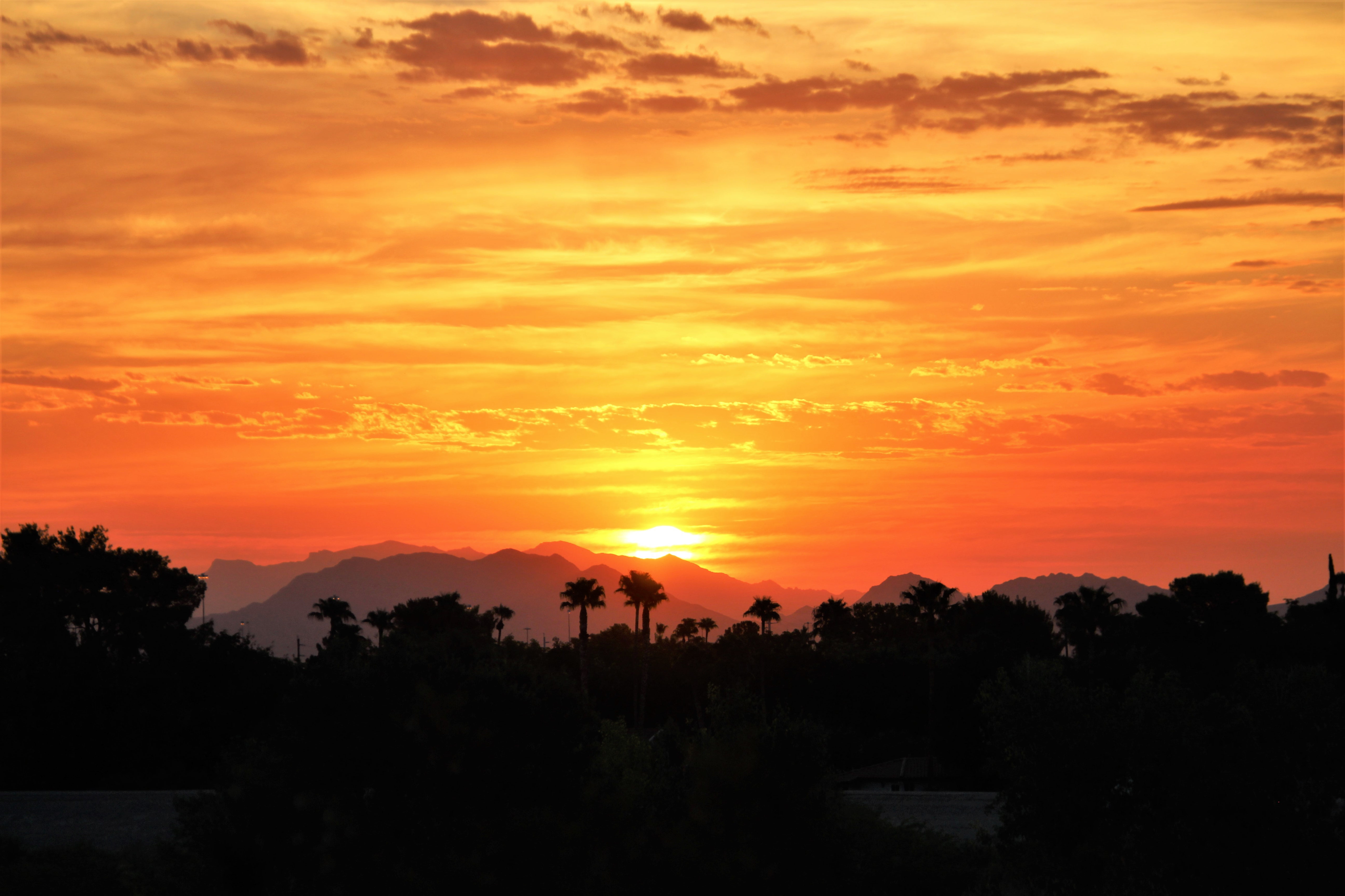 Laden Sie das Natur, Sky, Hügel, Die Hügel, Sunset, Palms-Bild kostenlos auf Ihren PC-Desktop herunter