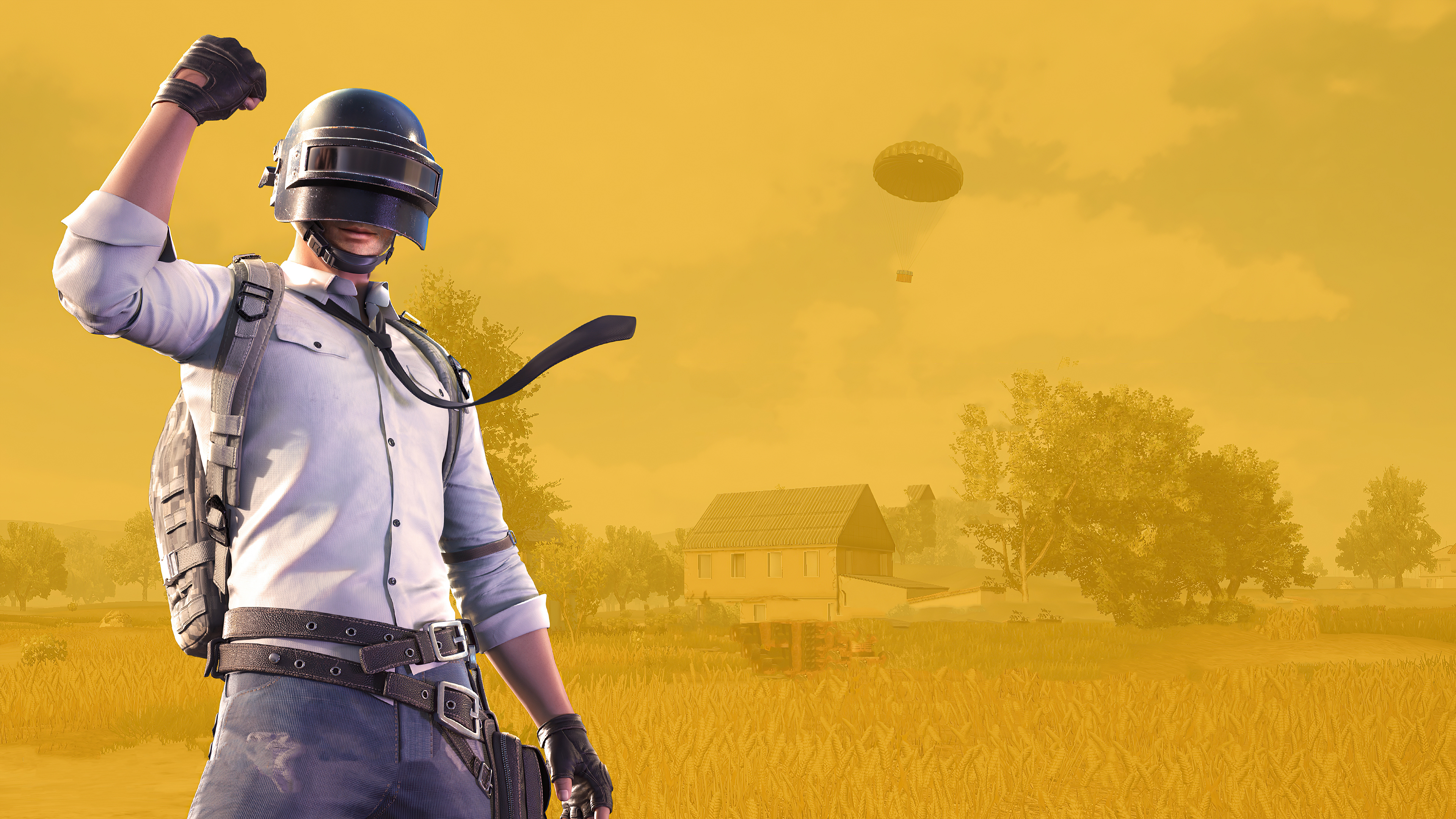 Free download wallpaper Video Game, Playerunknown's Battlegrounds on your PC desktop