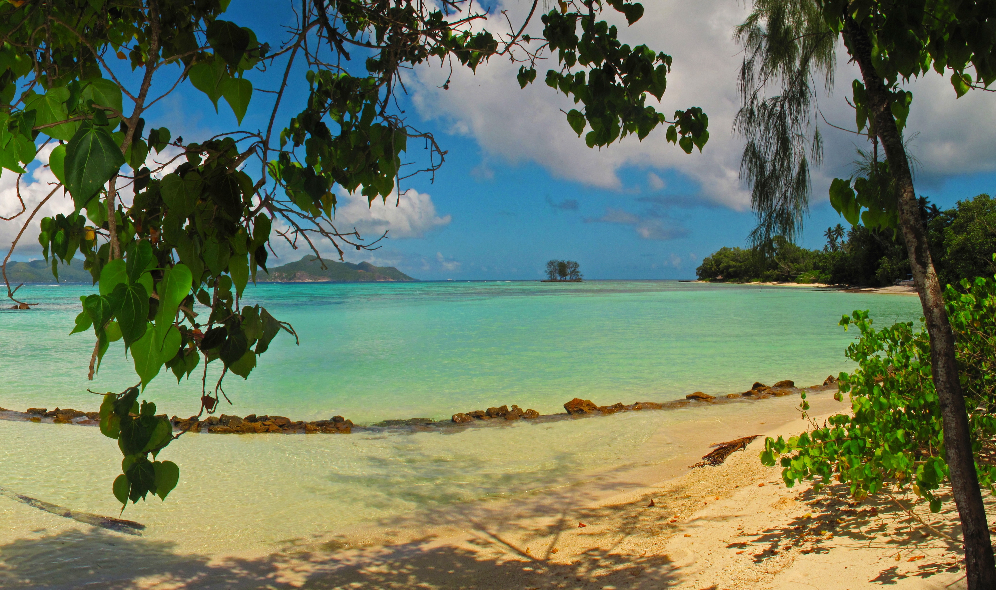 beach, landscape, nature, leaves, sea, seychelles la digue Panoramic Wallpaper