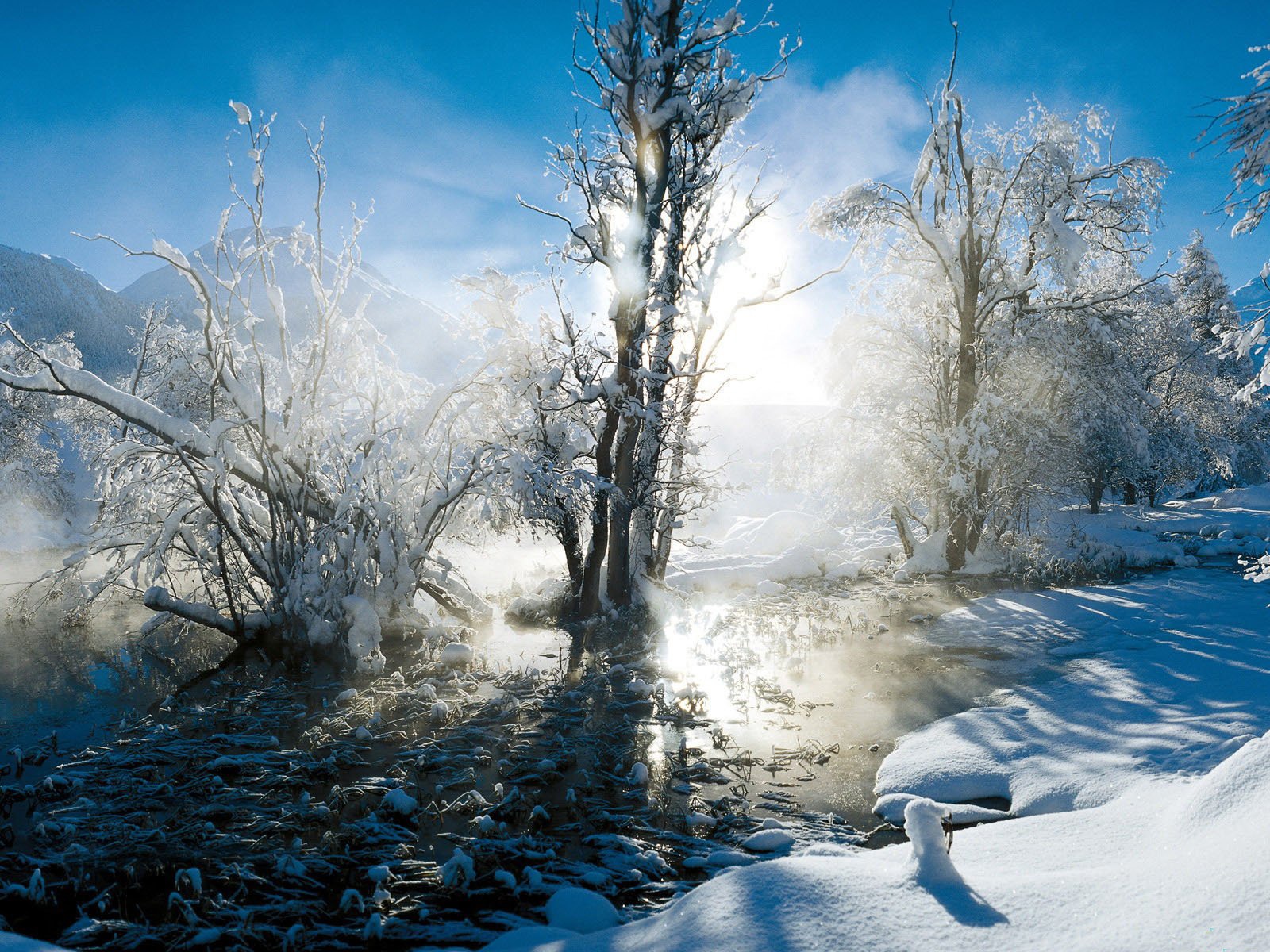 Baixar papel de parede para celular de Inverno, Terra/natureza gratuito.