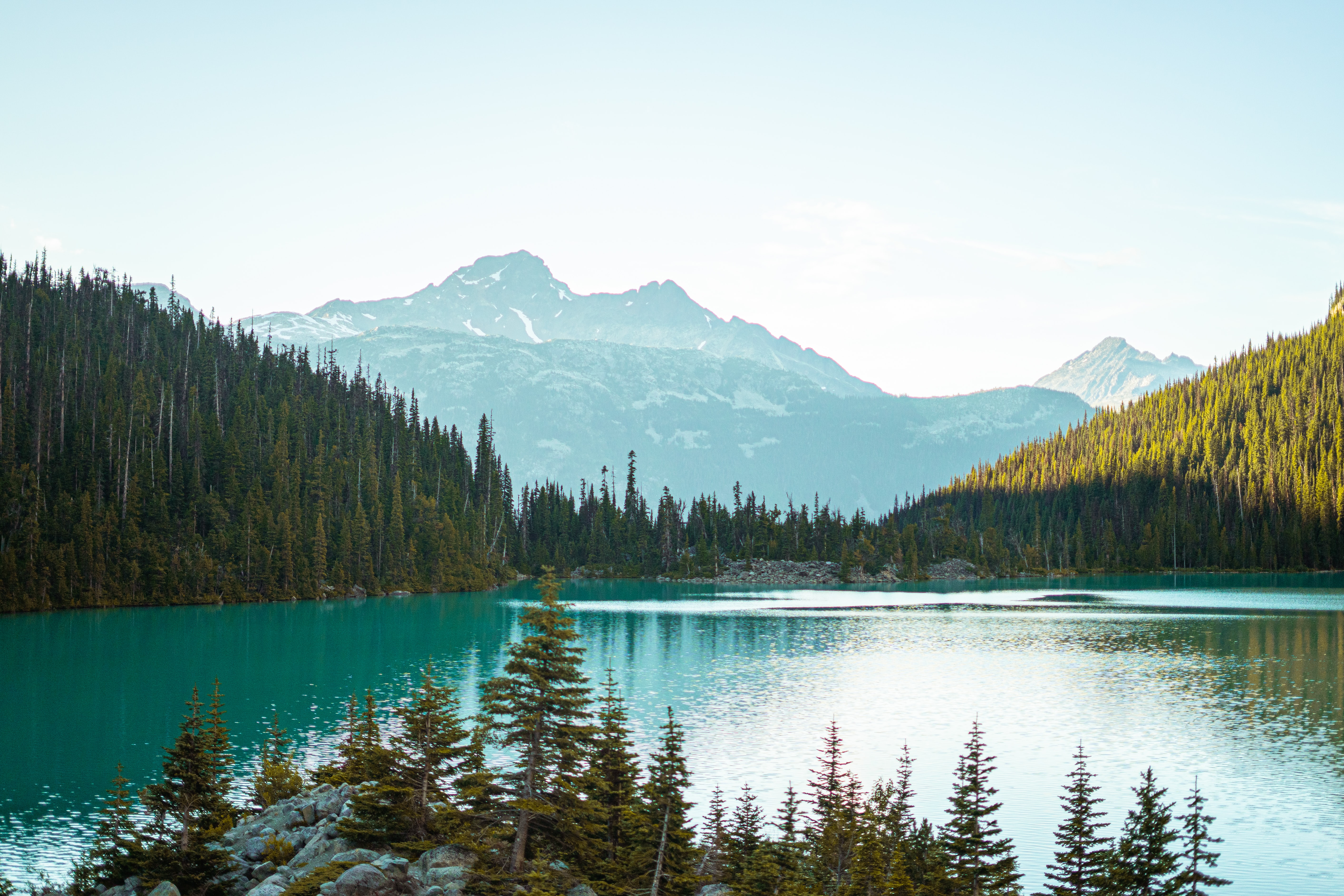 Download mobile wallpaper Forest, Spruce, Fir, Trees, Lake, Mountains, Nature for free.