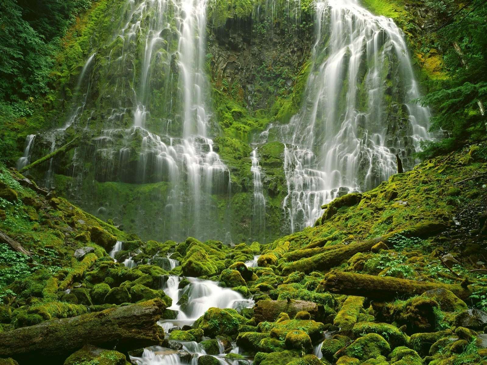 Download mobile wallpaper Nature, Water, Waterfalls, Waterfall, Vegetation, Earth, Moss for free.