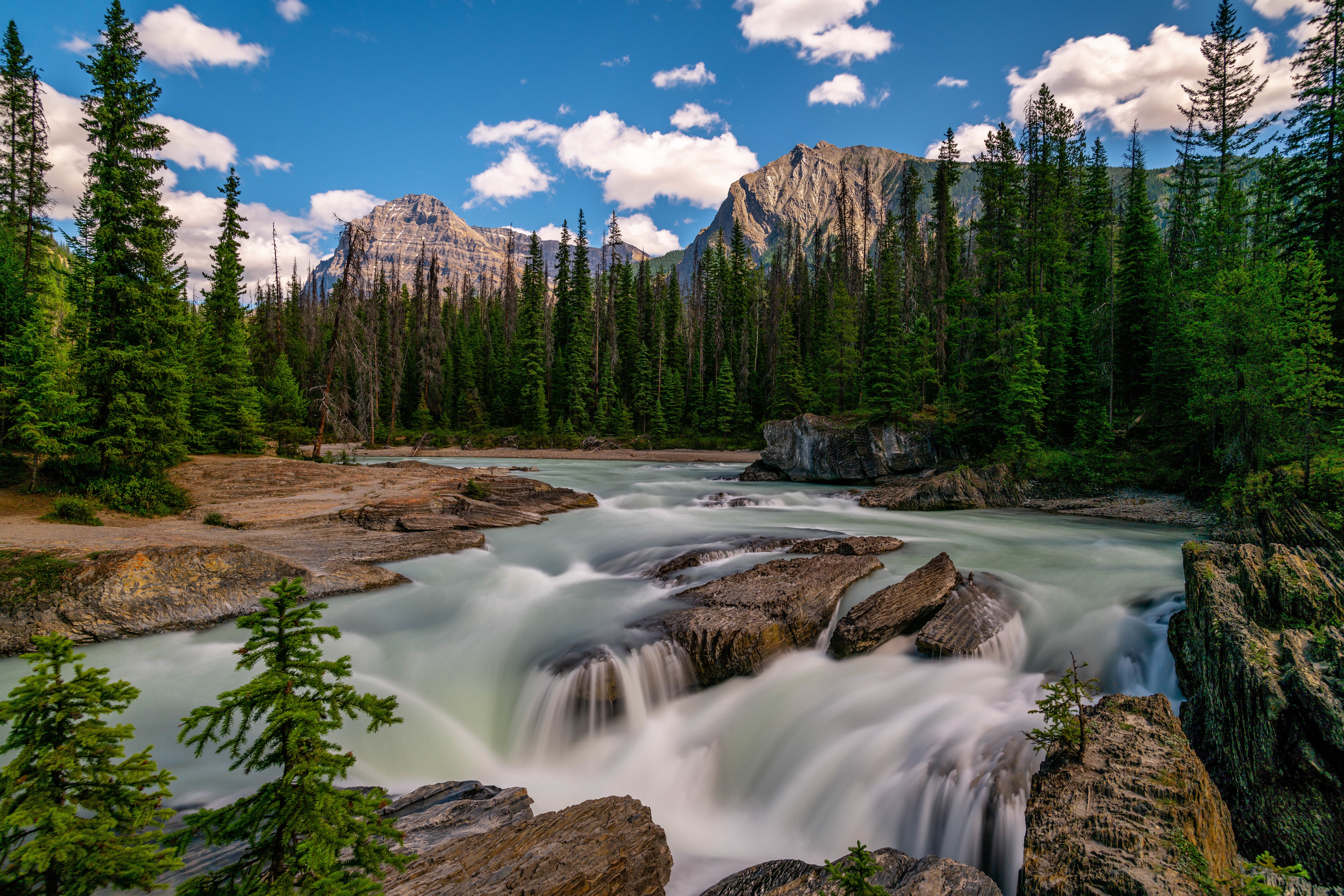 earth, river, british columbia, canada, forest, mountain, waterfall, yoho national park