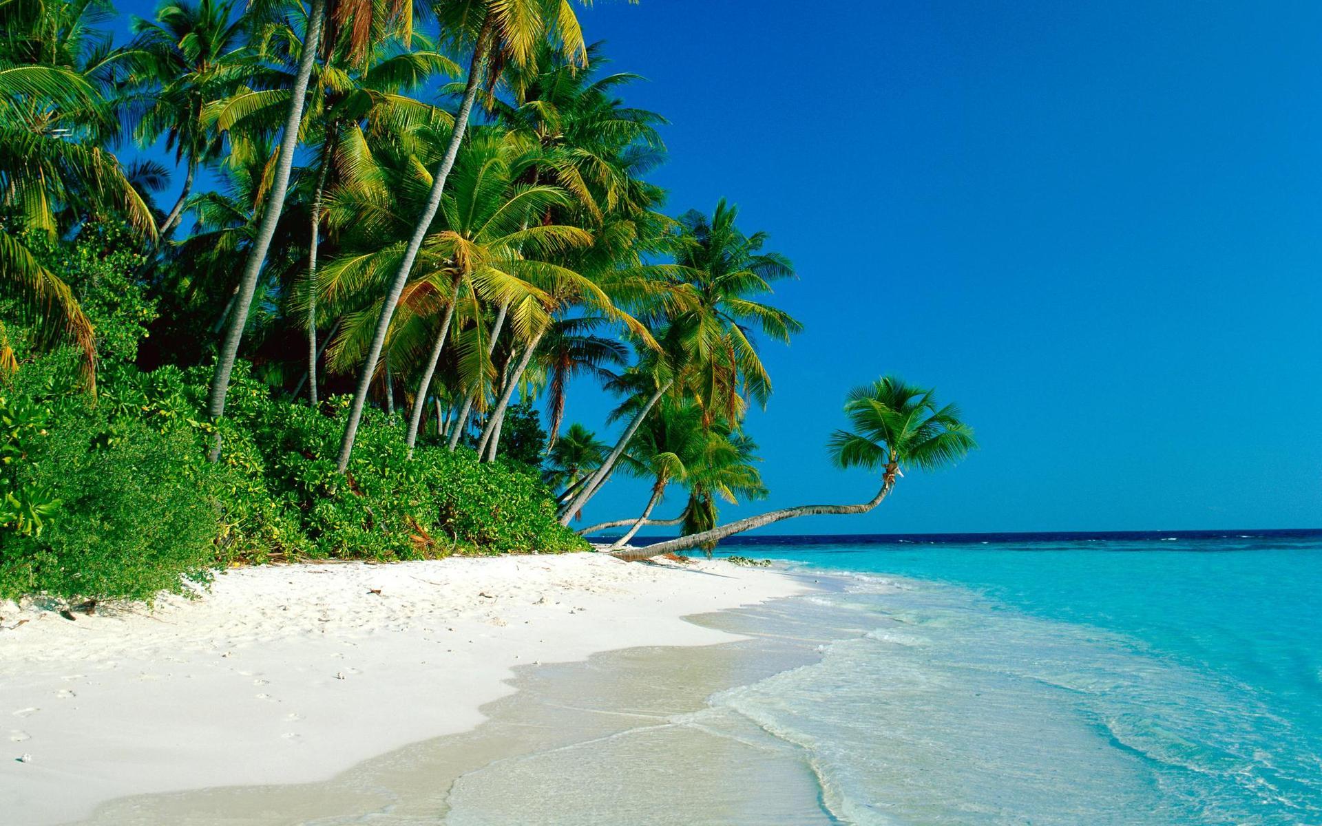 Скачати мобільні шпалери Пісок, Дерево, Океан, Синій, Пальма, Земля, Острів, Тропічний безкоштовно.