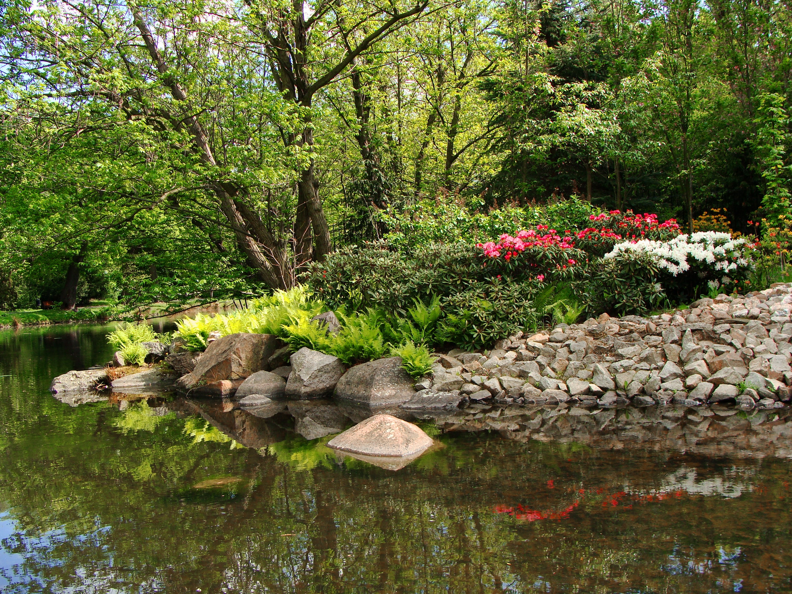Download mobile wallpaper Stones, Trees, Pond, Park, Nature, Landscape for free.
