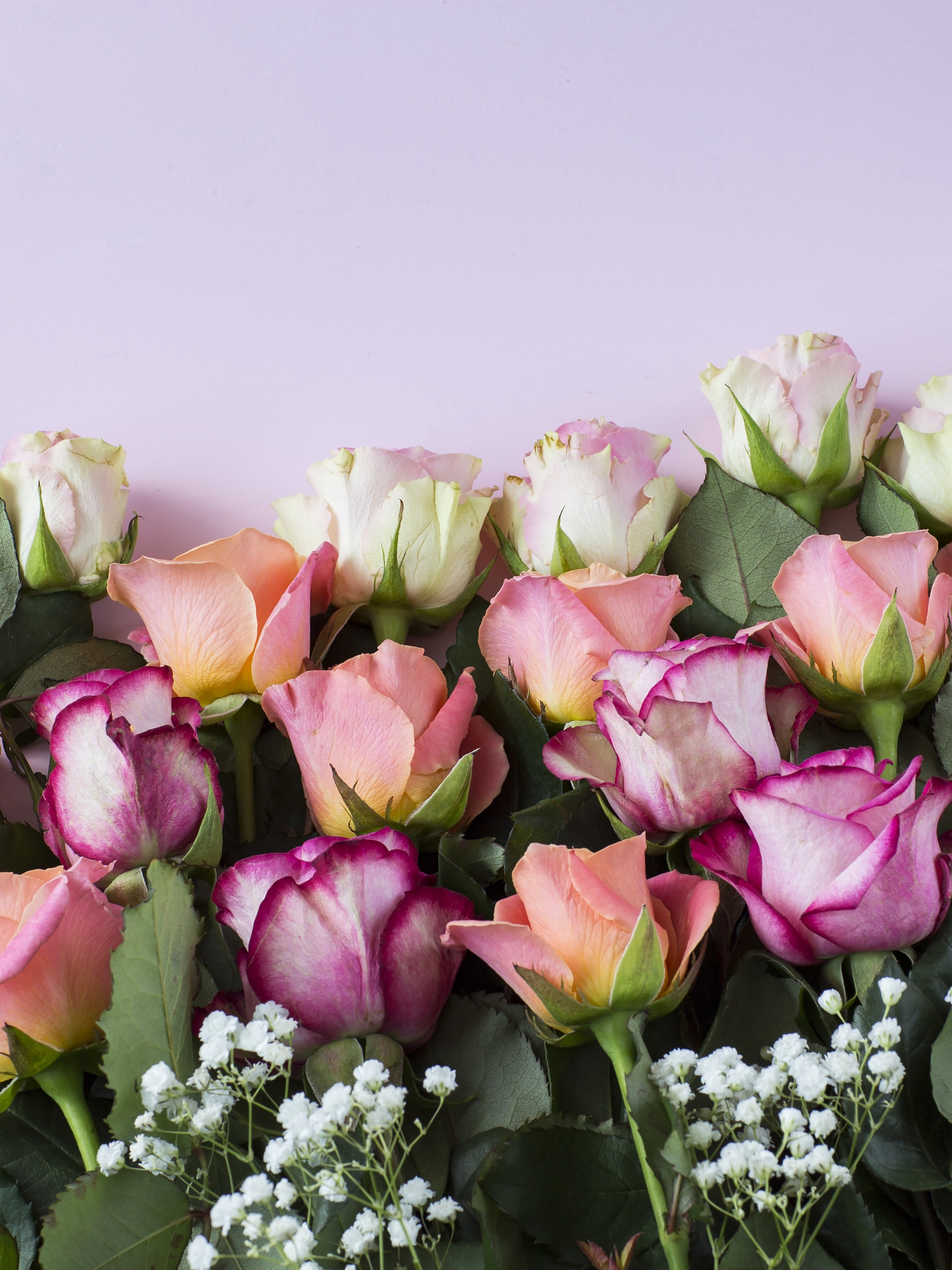 無料モバイル壁紙花, 薔薇, 白い花, マンメイド, ピンクの花, 桃の花をダウンロードします。