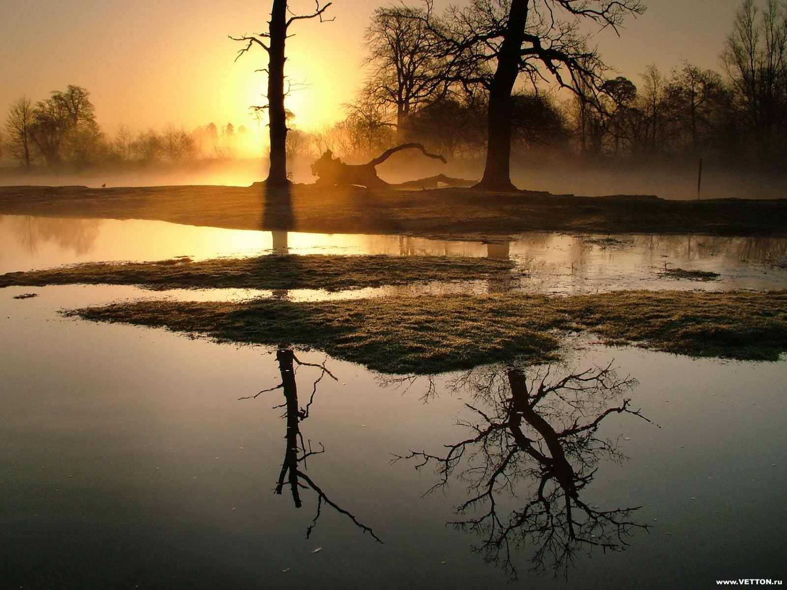 PCデスクトップに風景, 自然, 川, 木, 日没画像を無料でダウンロード