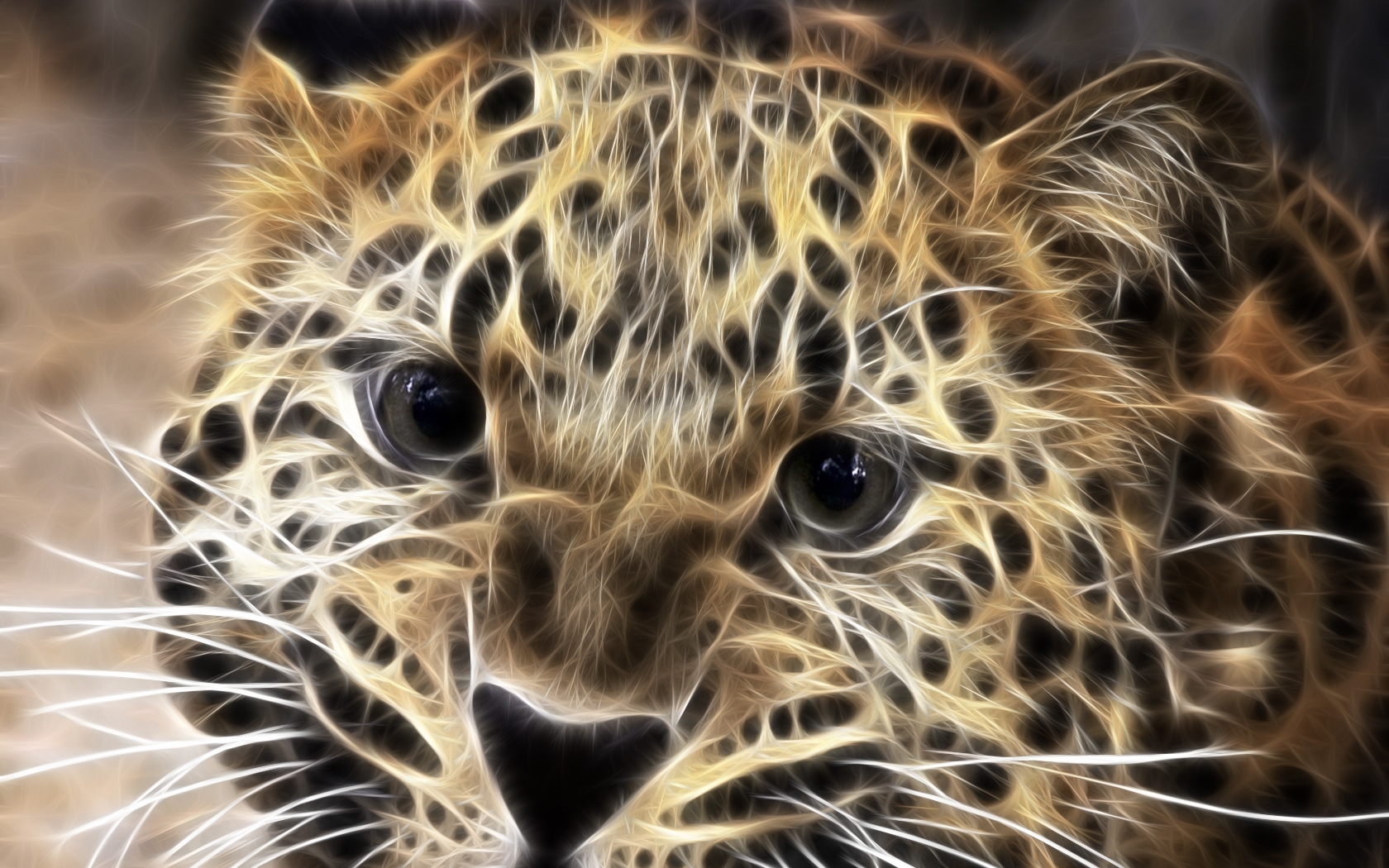 2984 descargar imagen arte, animales, leopardos: fondos de pantalla y protectores de pantalla gratis