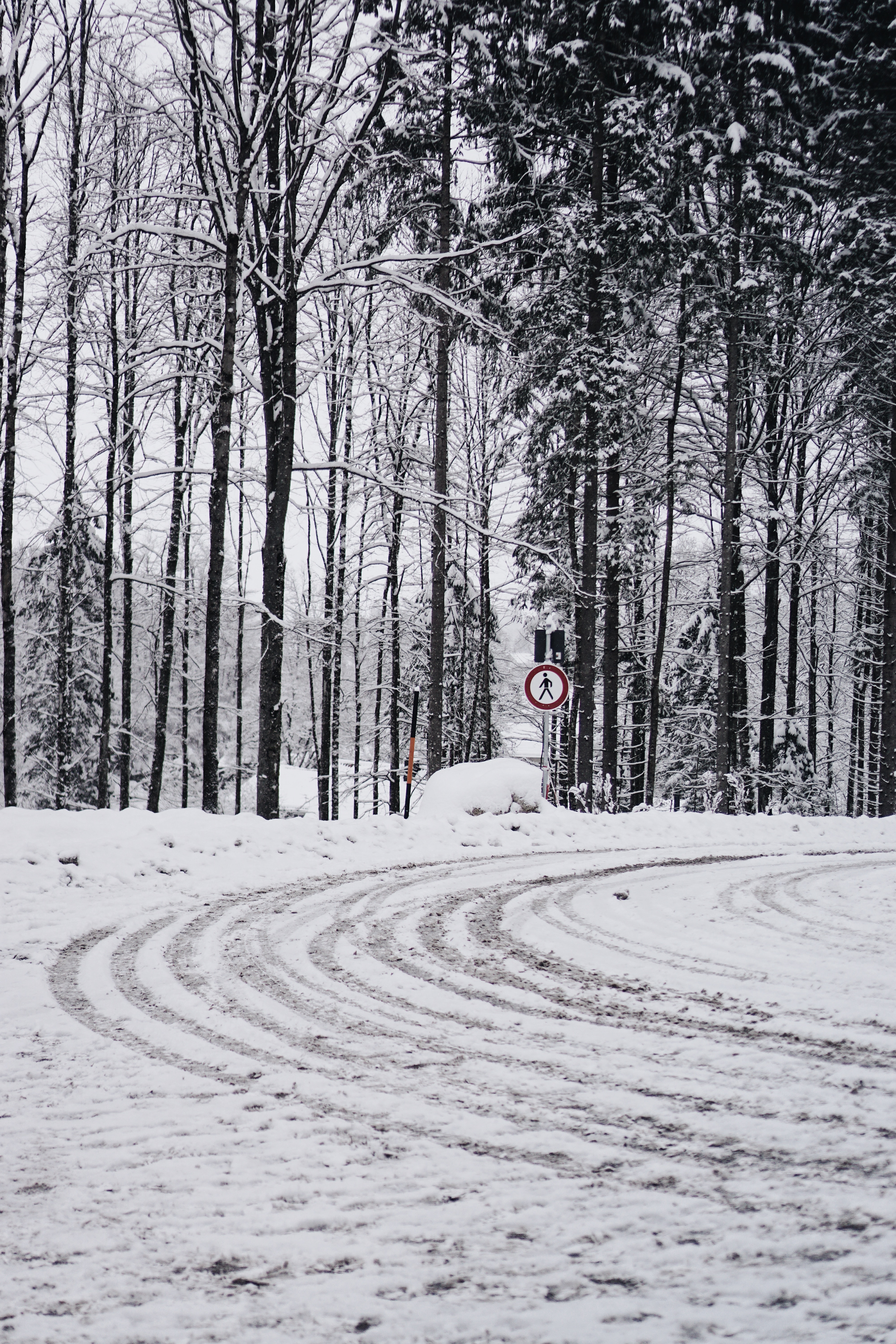 winter, nature, trees, snow, road, turn 1080p