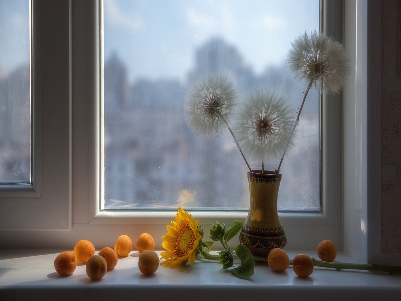 Free download wallpaper Dandelions, Plants on your PC desktop