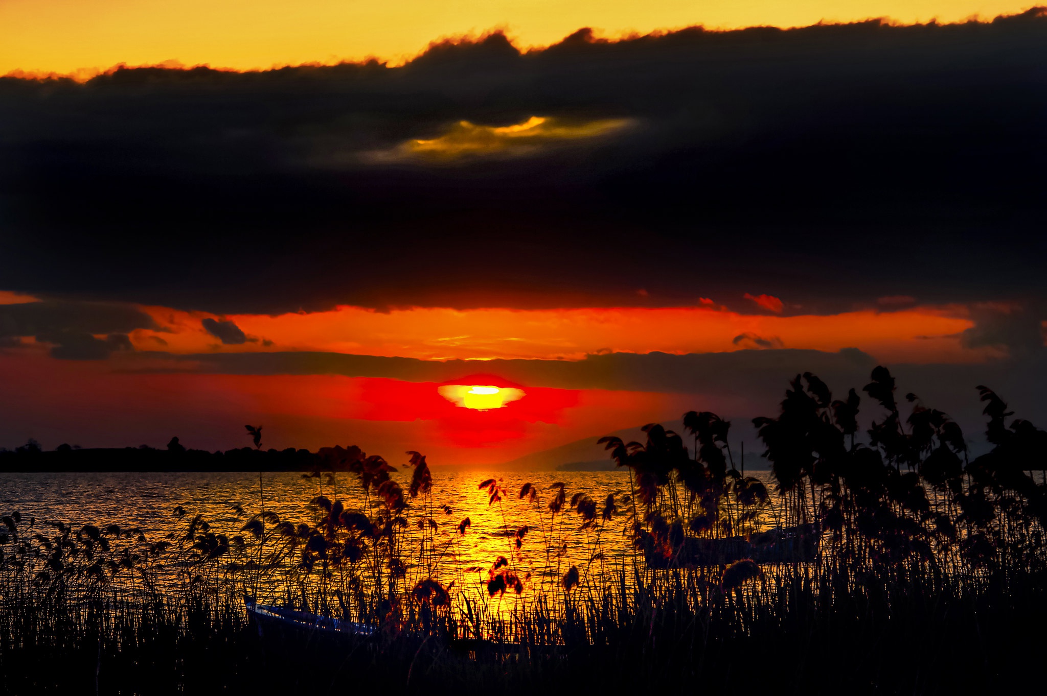 Free download wallpaper Sunset, Sun, Lake, Plant, Earth on your PC desktop