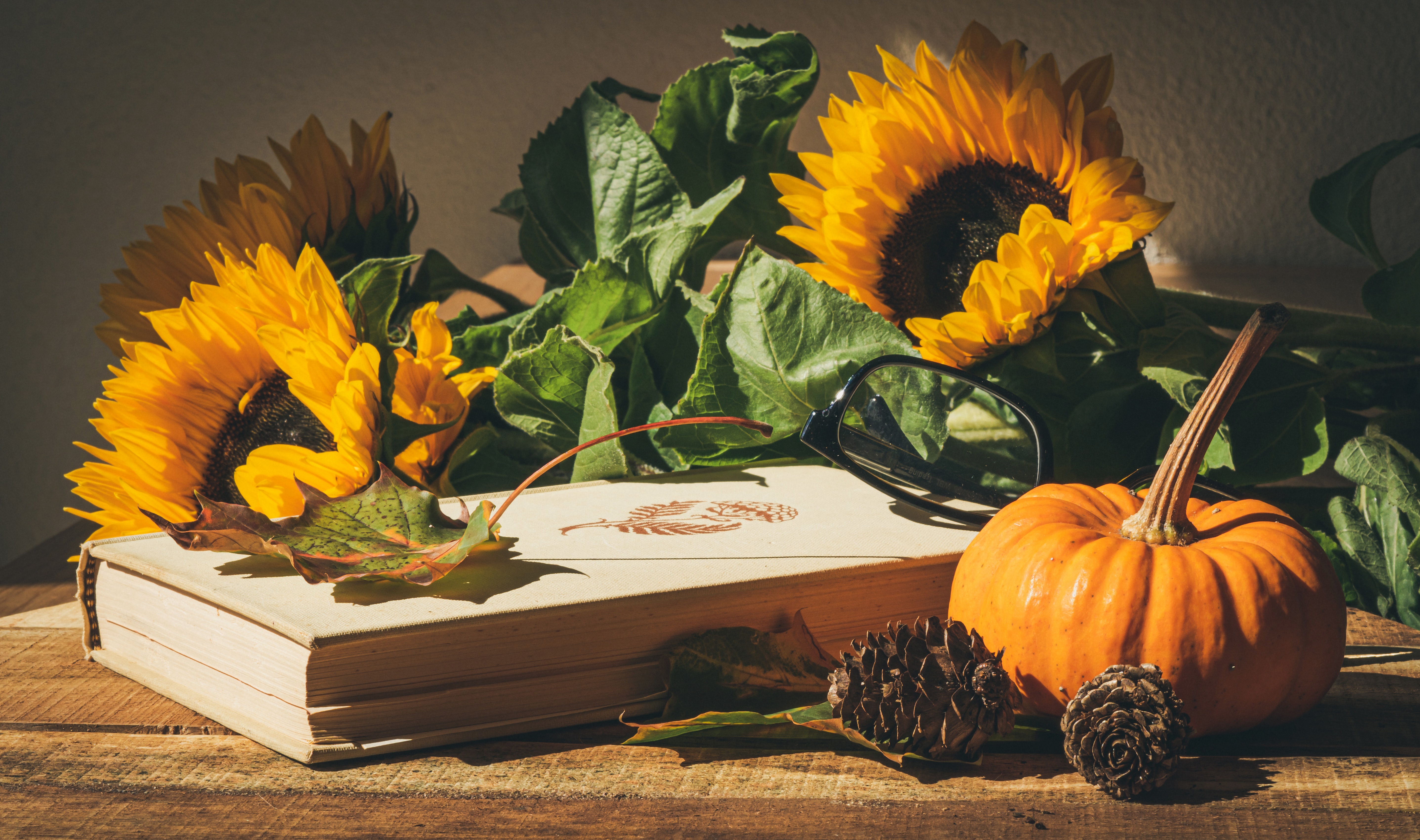 Download mobile wallpaper Pumpkin, Still Life, Flower, Book, Sunflower, Glasses, Photography, Pine Cone for free.