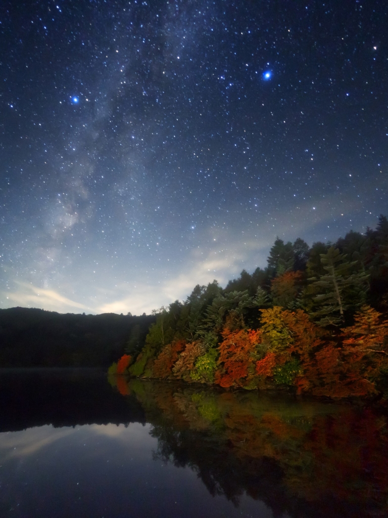 Скачать картинку Осень, Звезды, Ночь, Озеро, Лес, Звездное Небо, Падать, Земля/природа в телефон бесплатно.