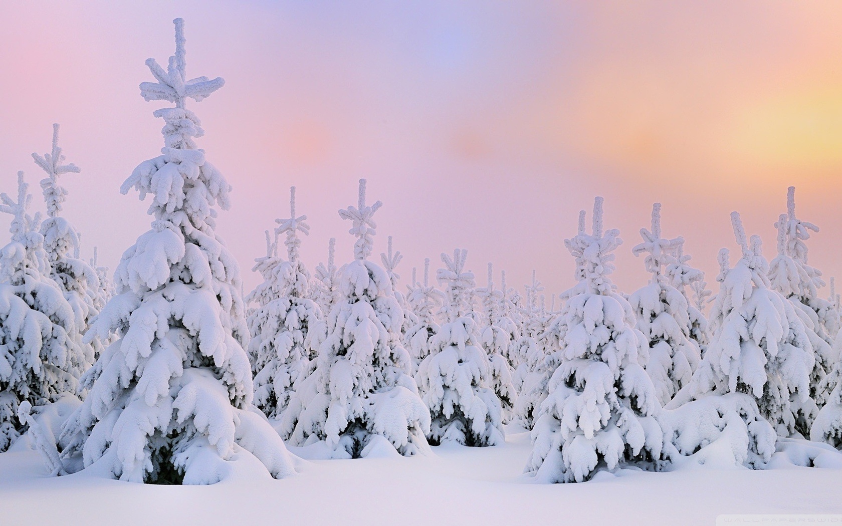 Baixar papel de parede para celular de Inverno, Terra/natureza gratuito.